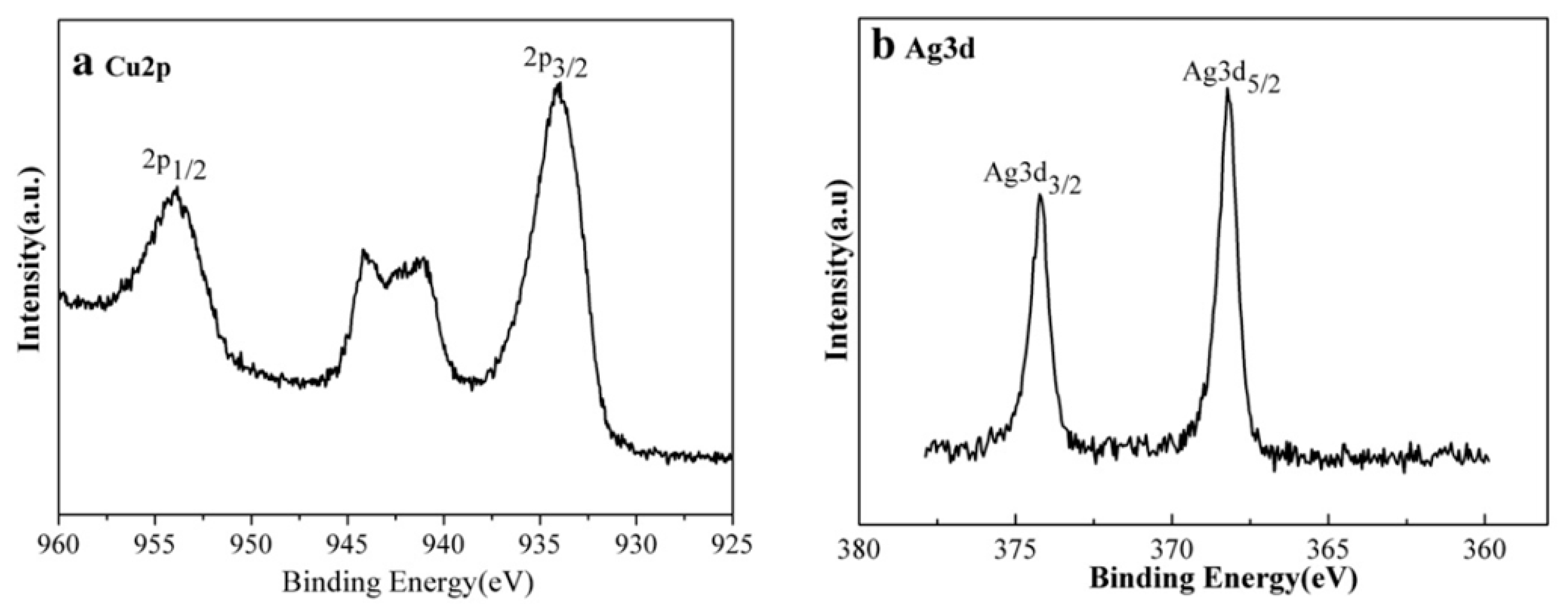 Biology 10 00137 g015