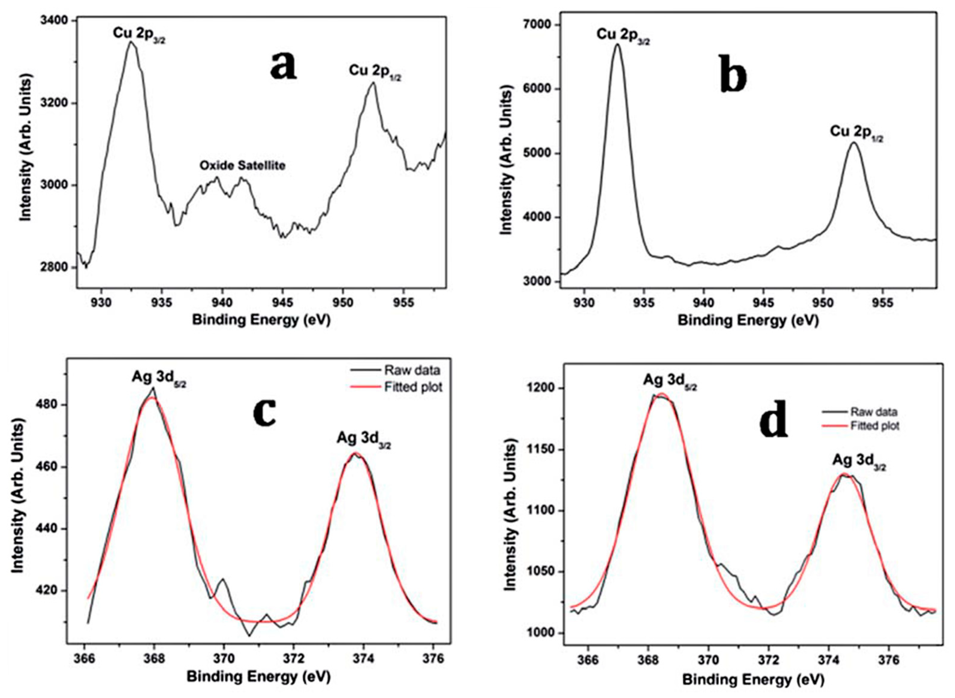 Biology 10 00137 g016