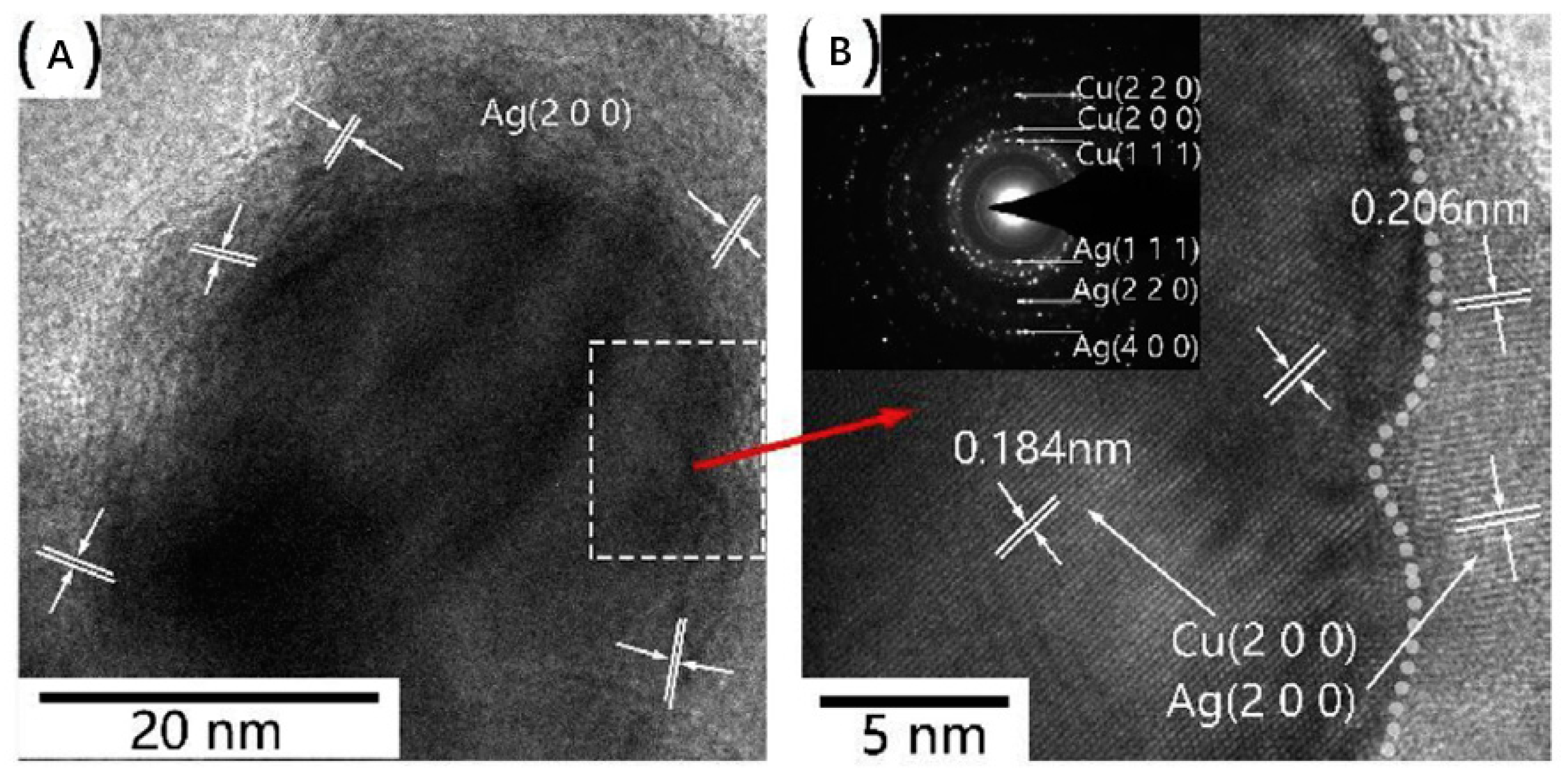 Biology 10 00137 g017
