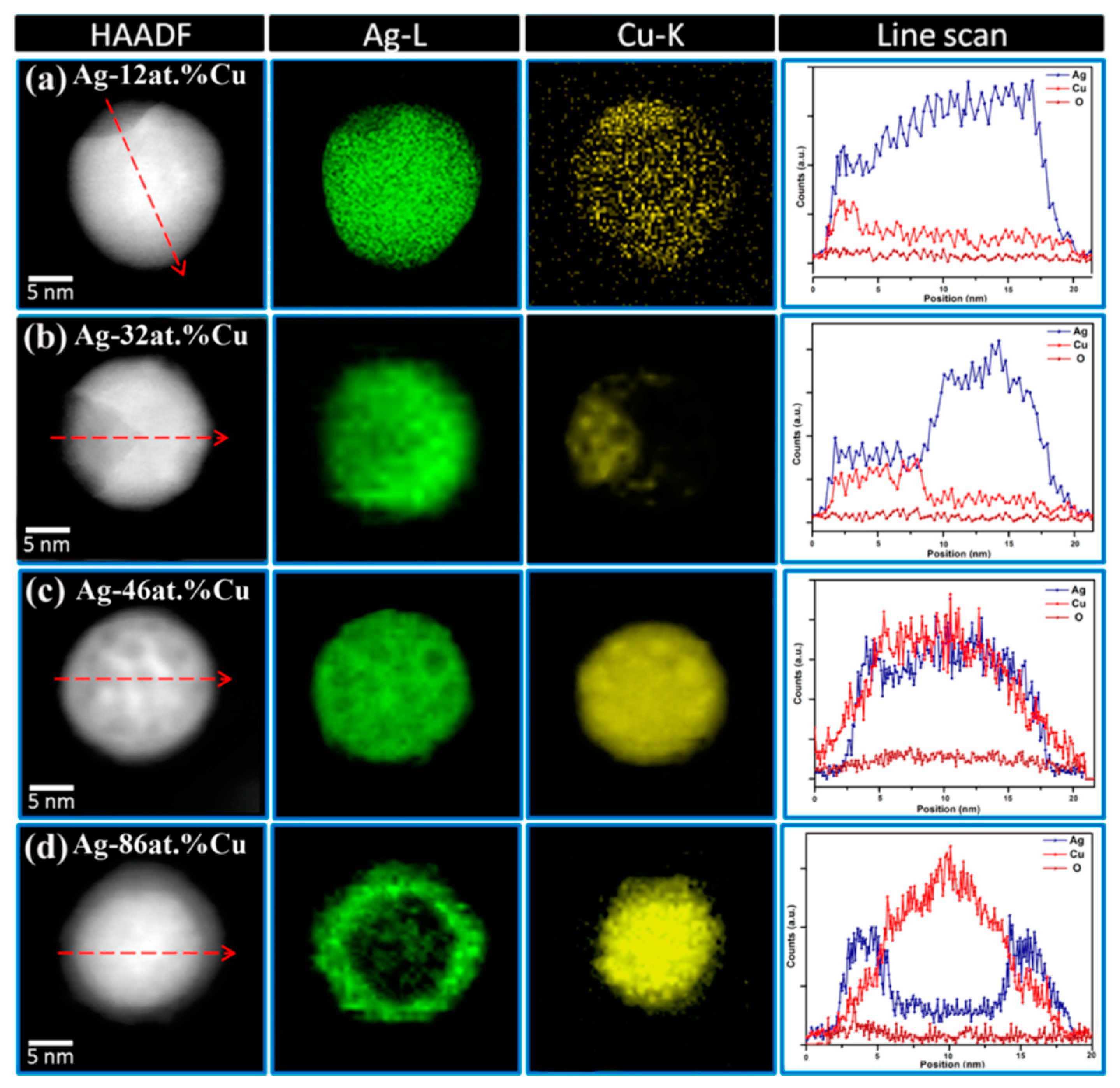 Biology 10 00137 g018