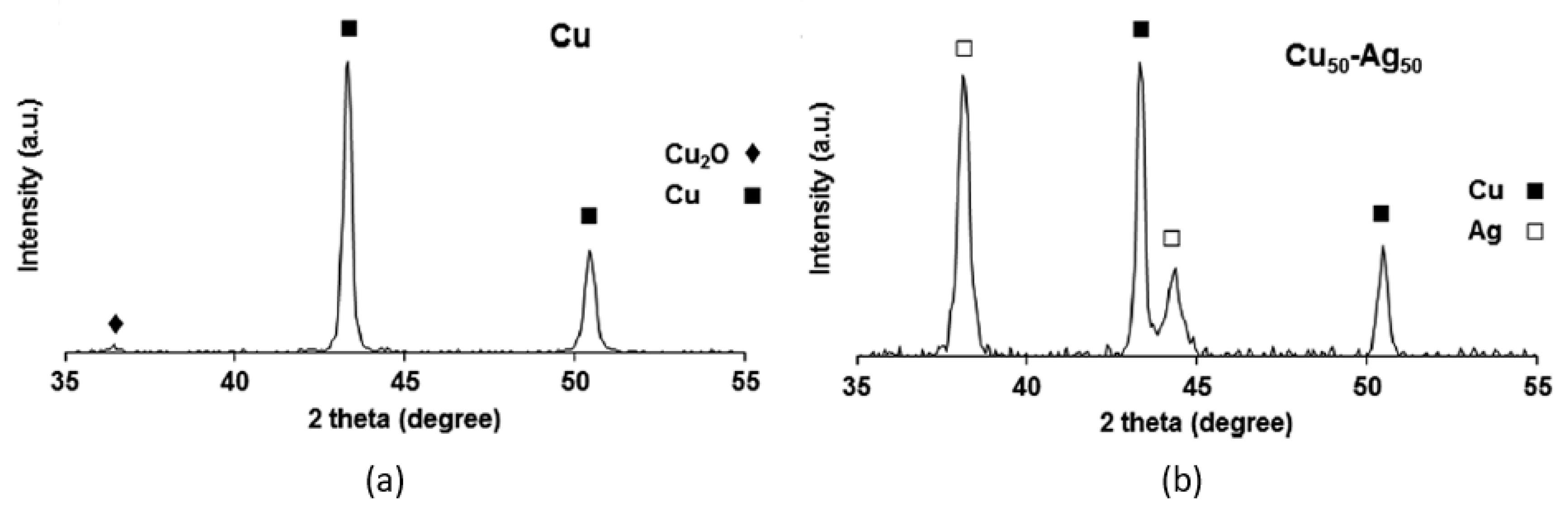 Biology 10 00137 g019