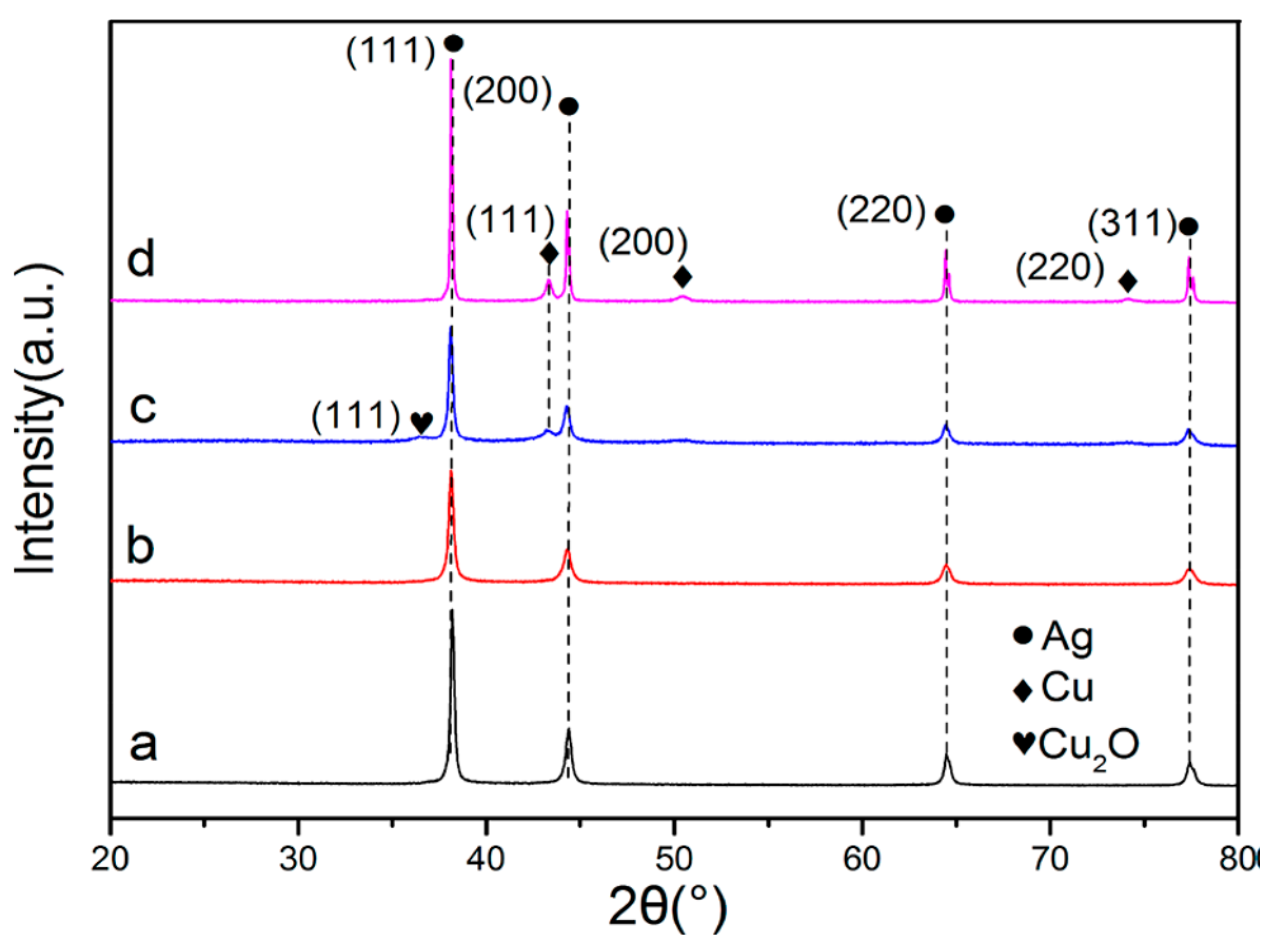 Biology 10 00137 g020