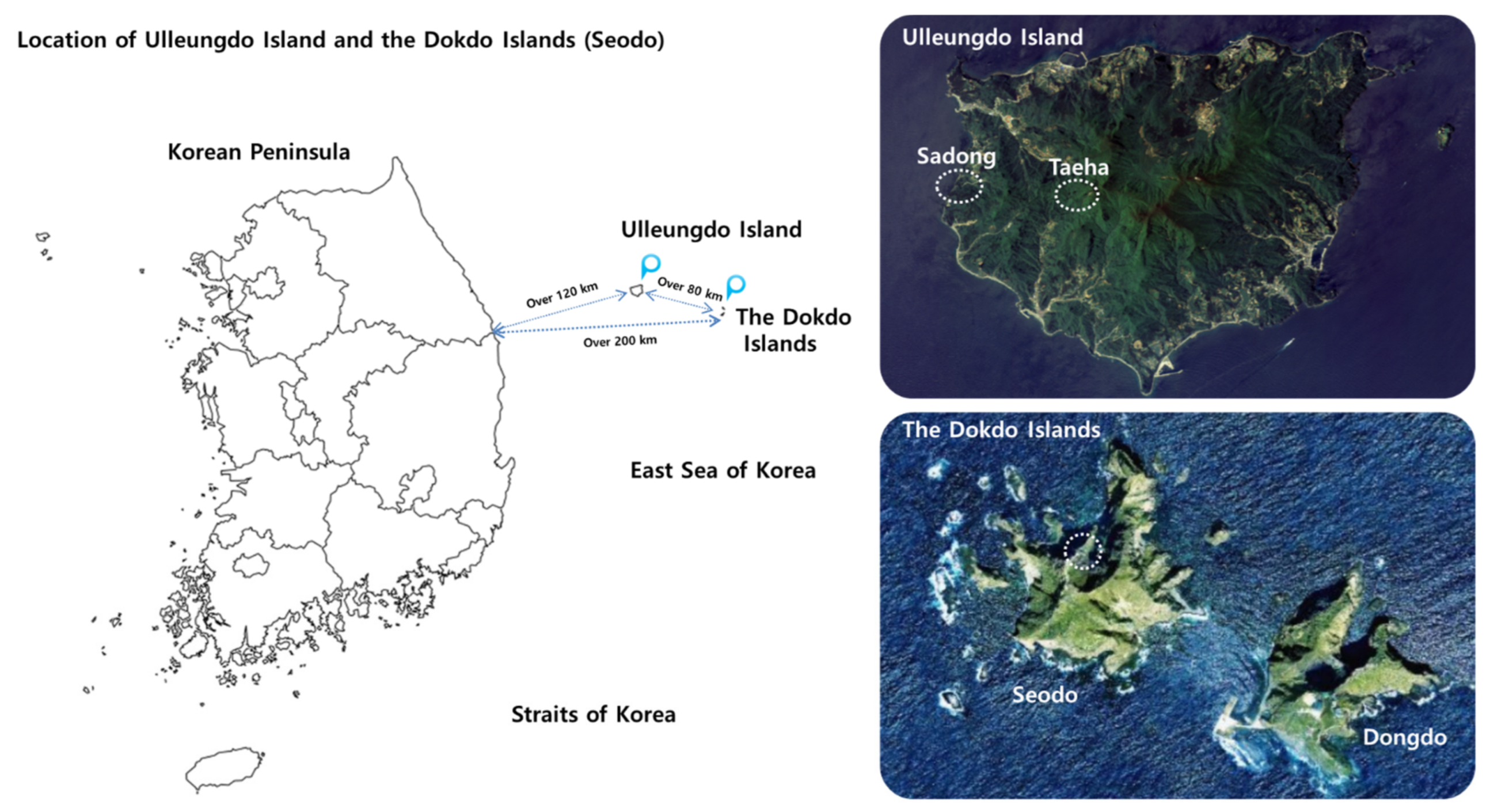 Biology 10 00138 g001 Biology 10 00138 g001