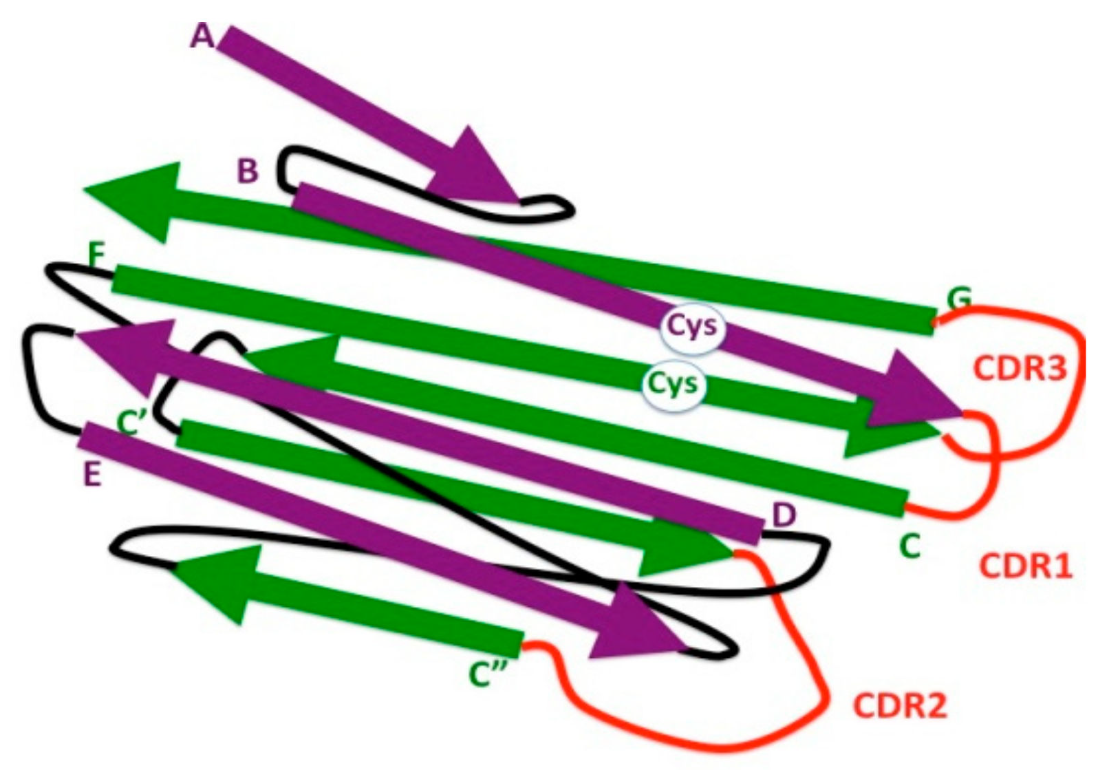 Biology 10 00140 g002 Biology 10 00140 g002