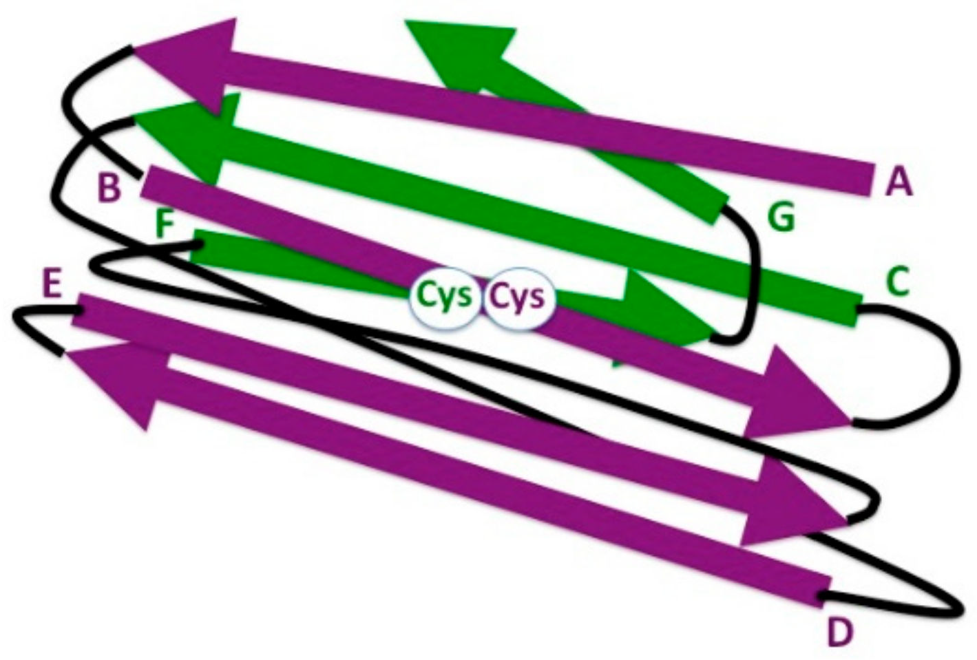 Biology 10 00140 g003 Biology 10 00140 g003