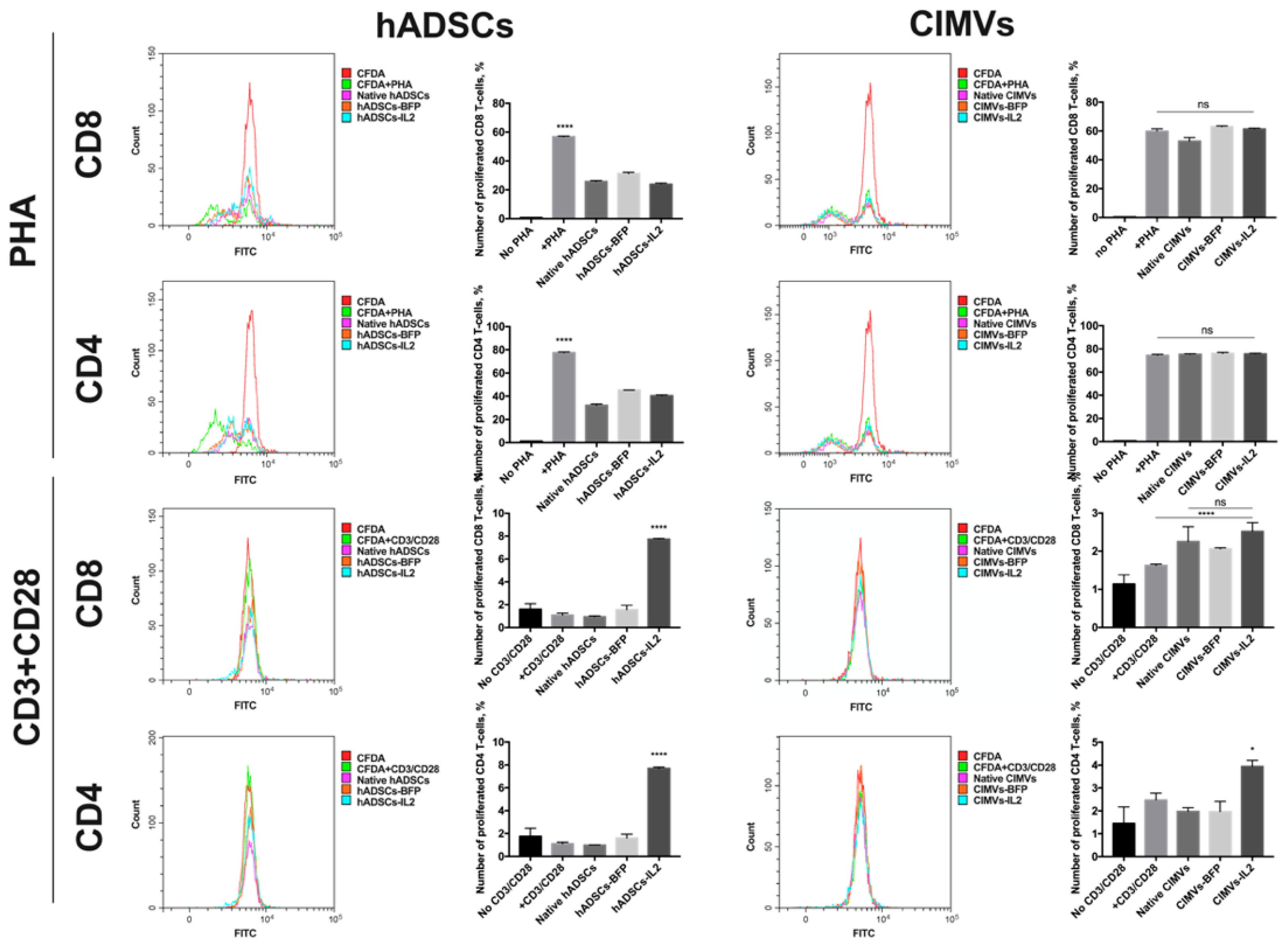 Biology 10 00141 g007 Biology 10 00141 g007