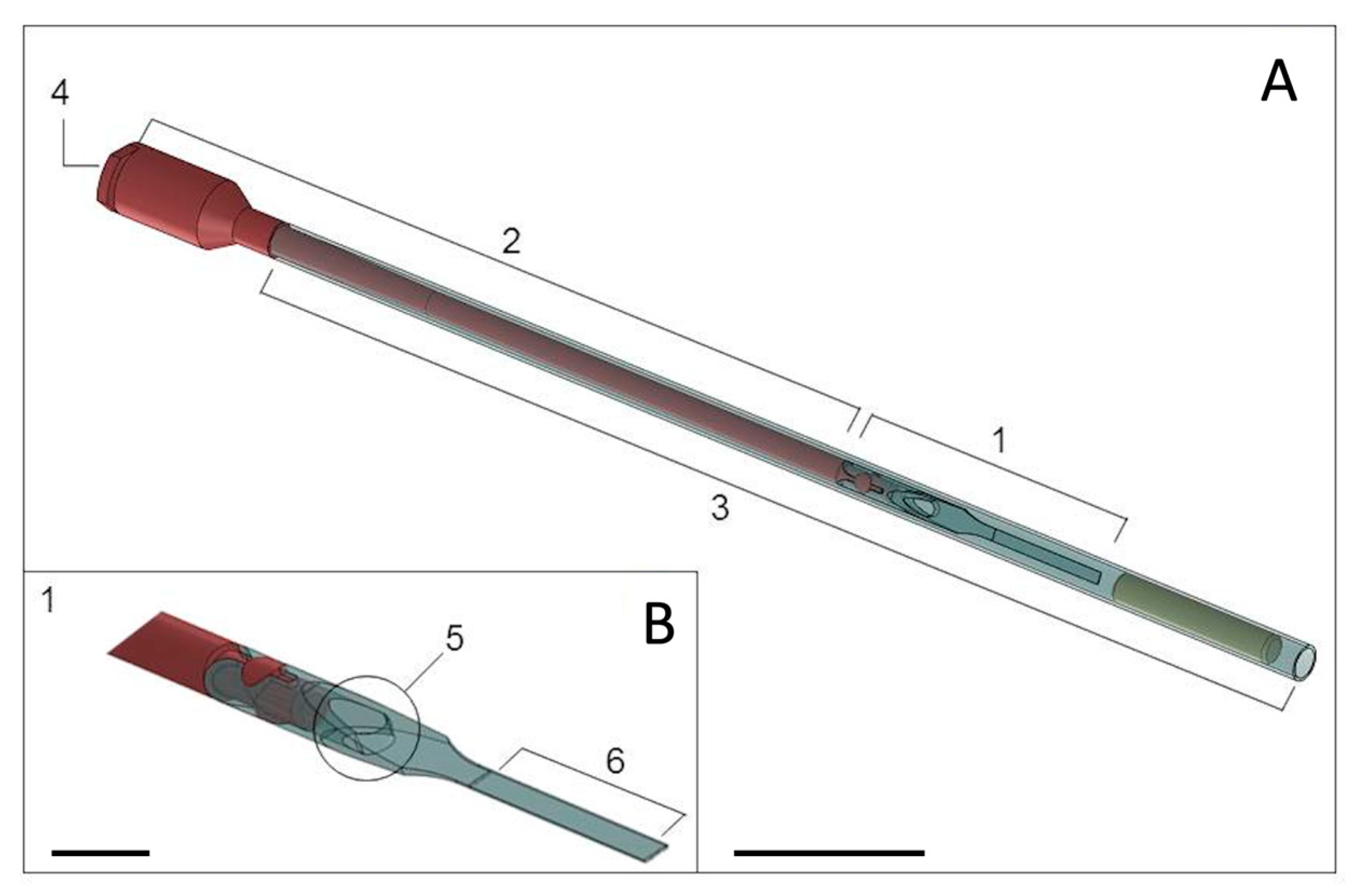 Biology 10 00142 g001
