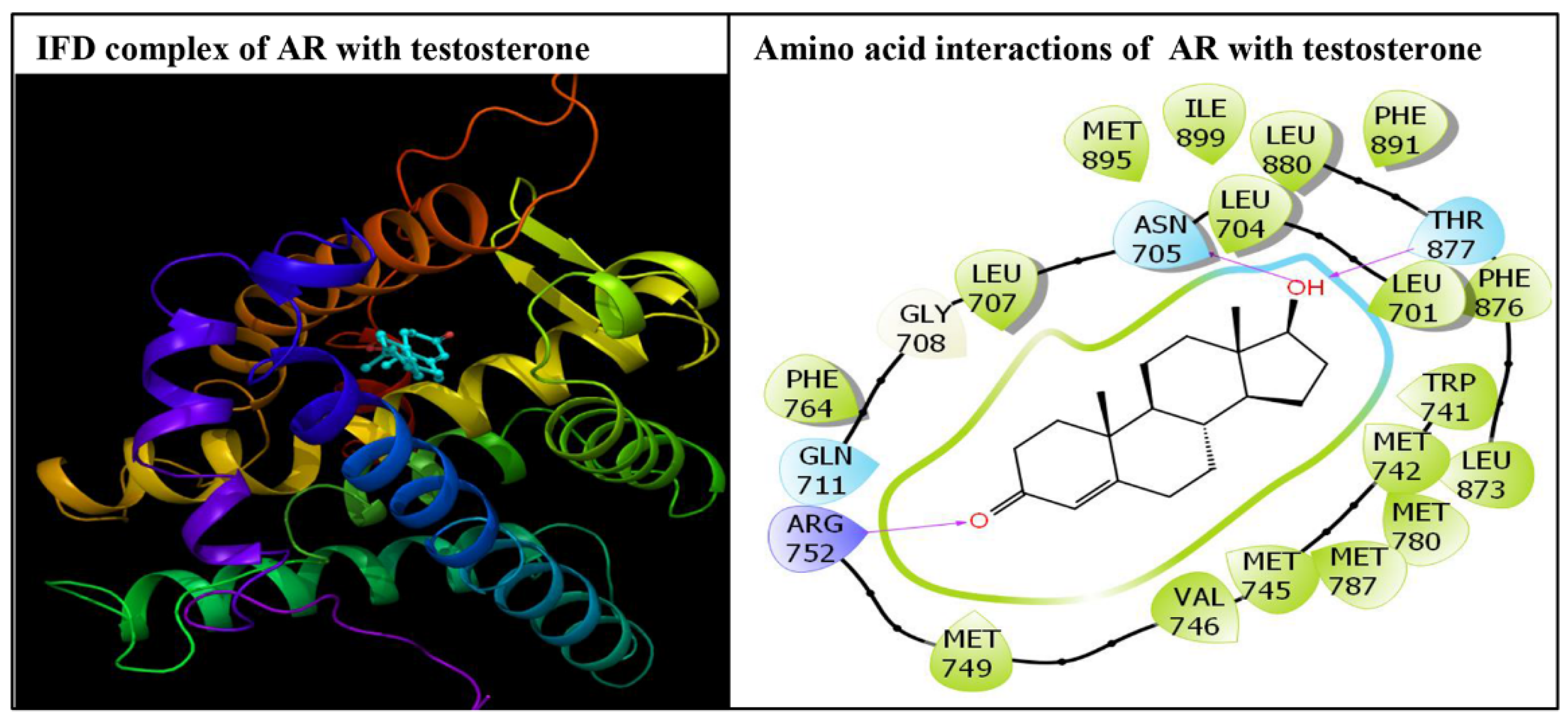 Biology 10 00143 g003 Biology 10 00143 g003