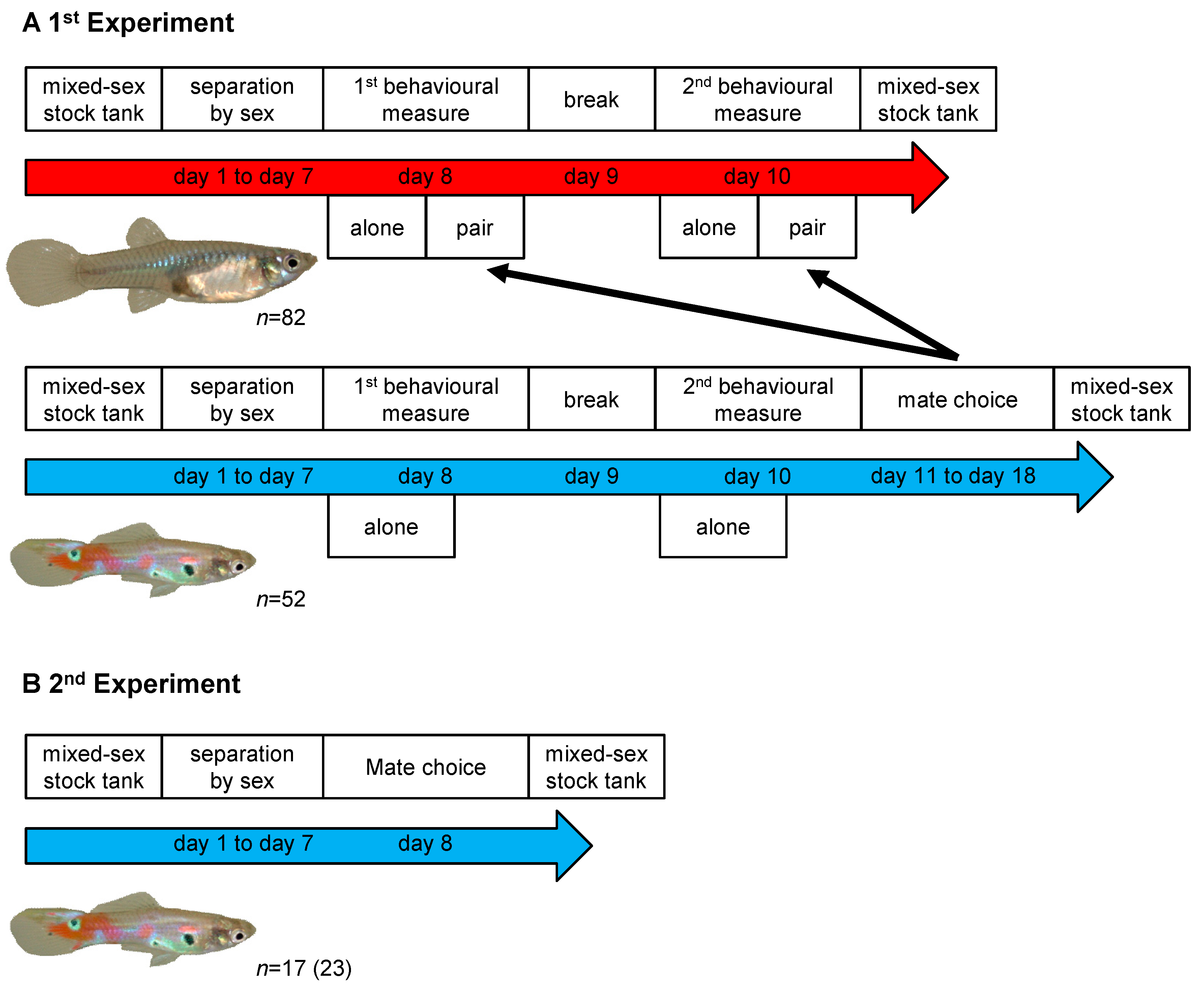 Biology 10 00147 g001