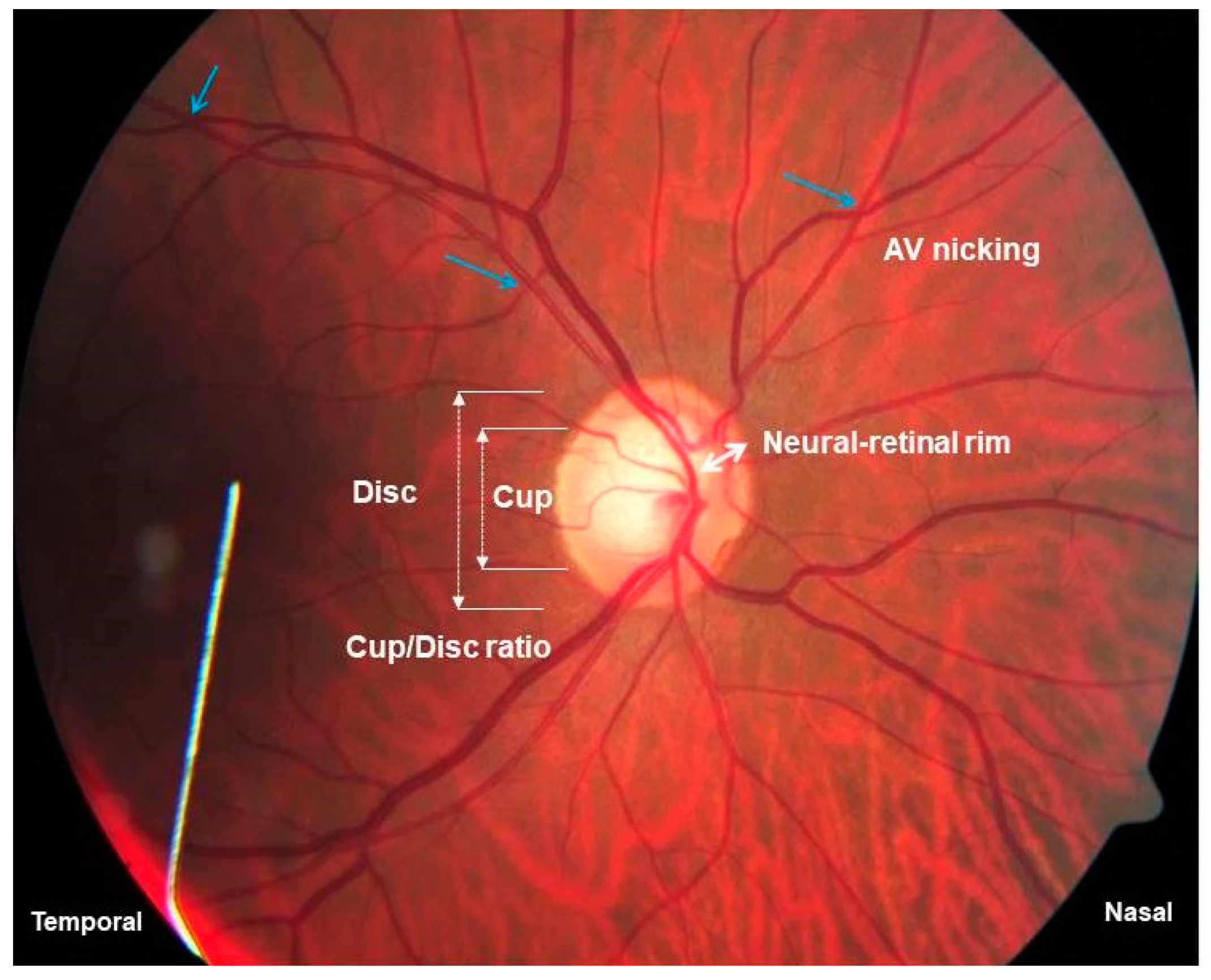 Biology 10 00162 g004 Biology 10 00162 g004