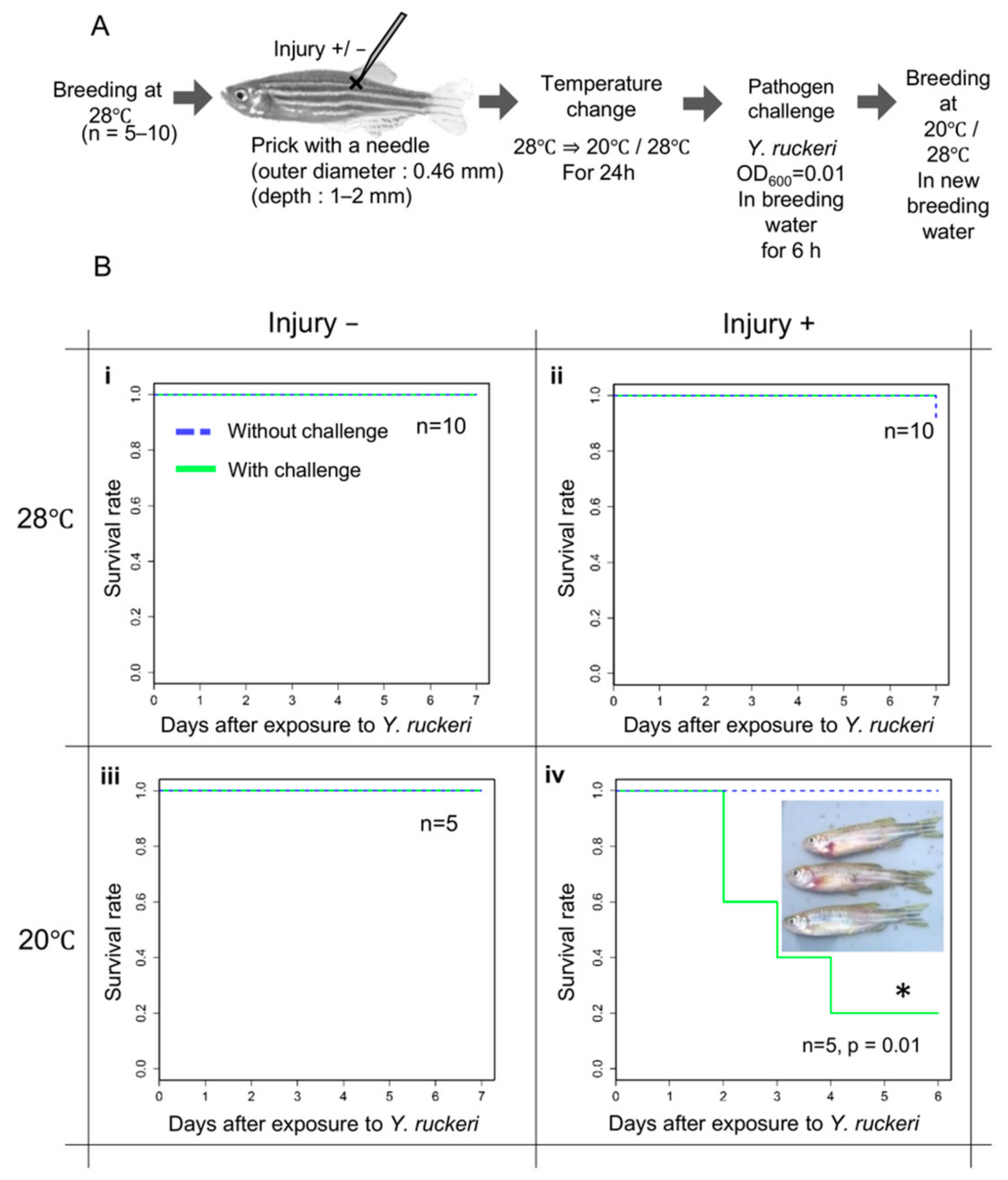 Biology 10 00166 g001