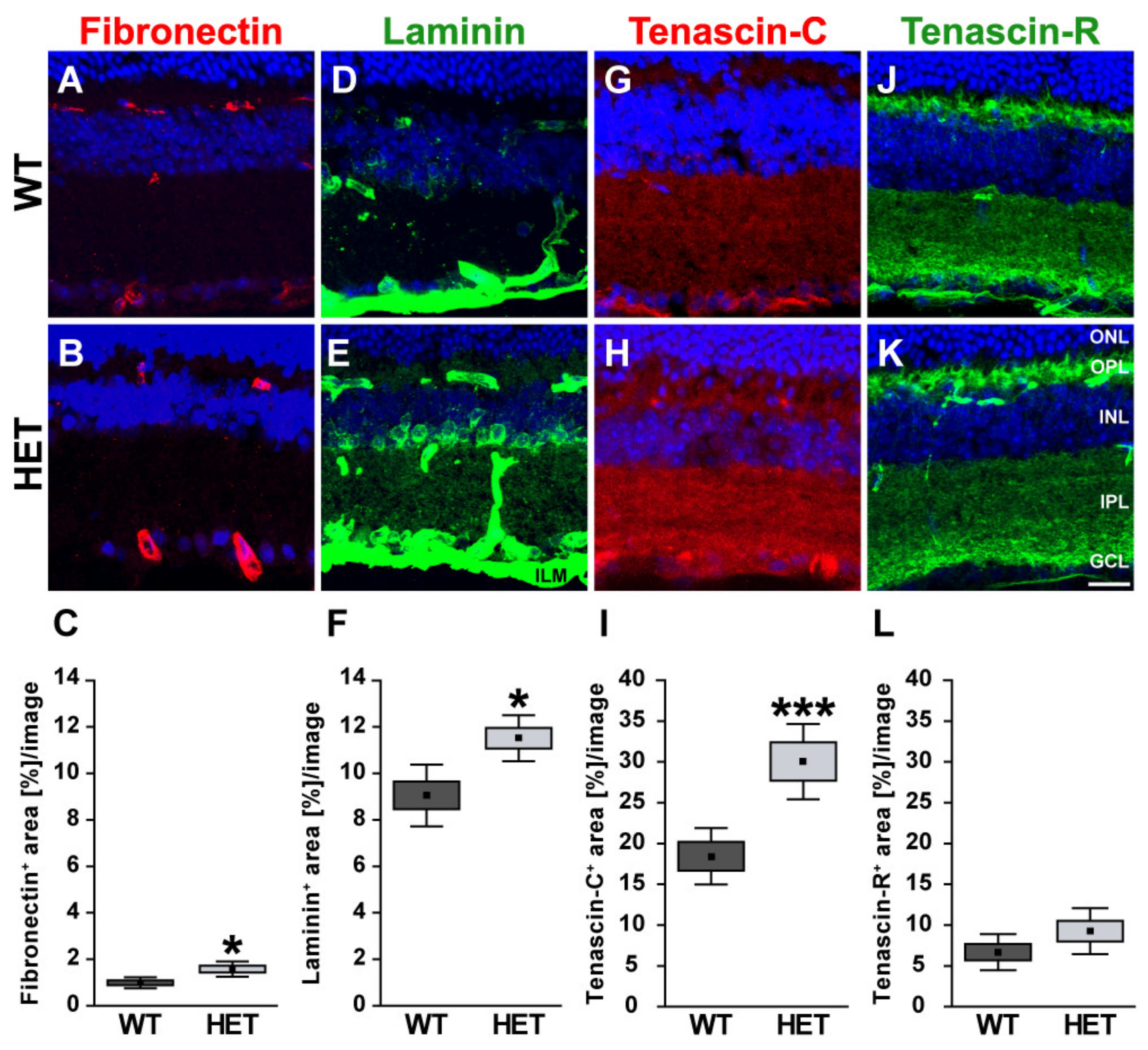 Biology 10 00169 g002 Biology 10 00169 g002
