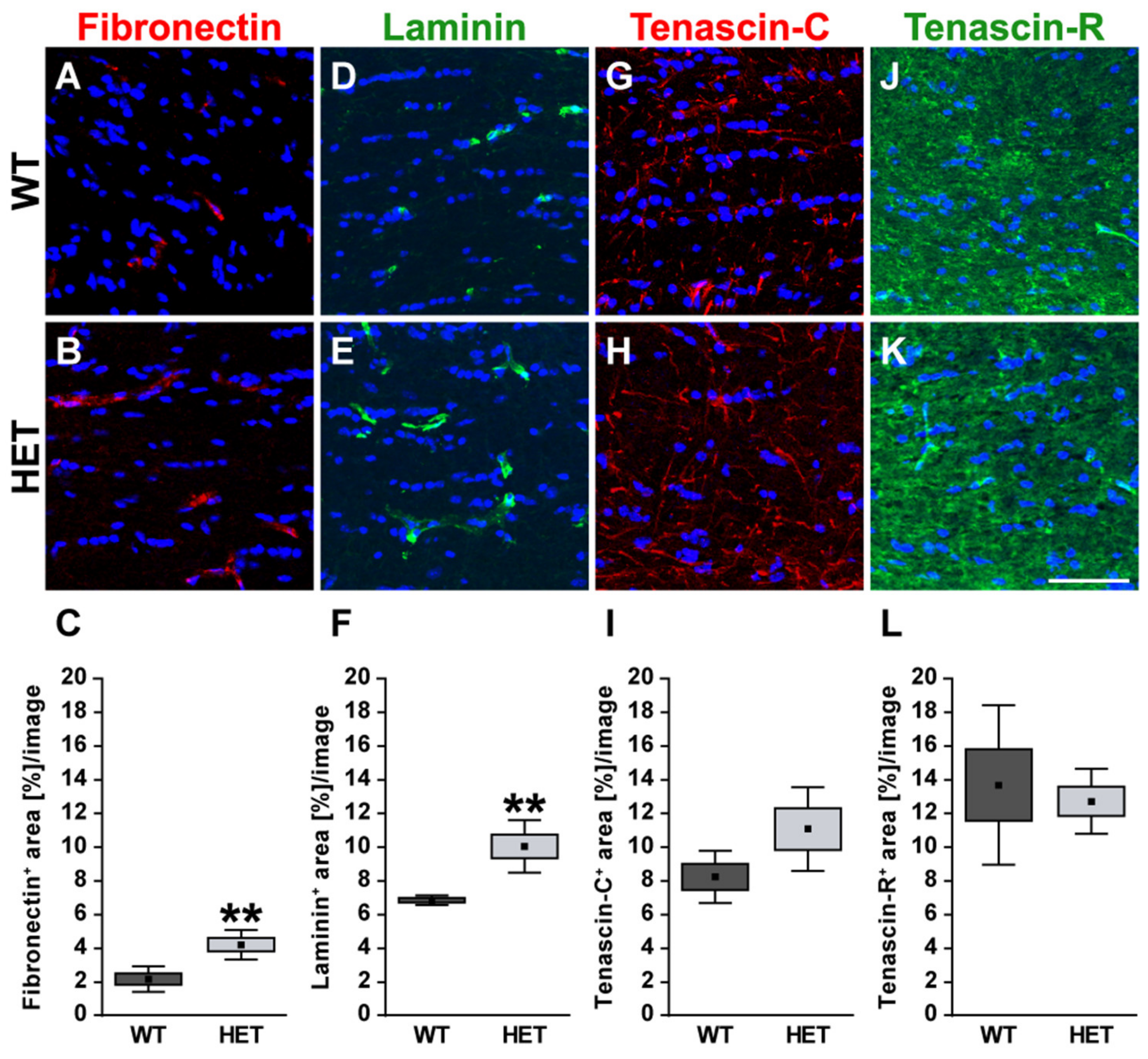 Biology 10 00169 g005 Biology 10 00169 g005
