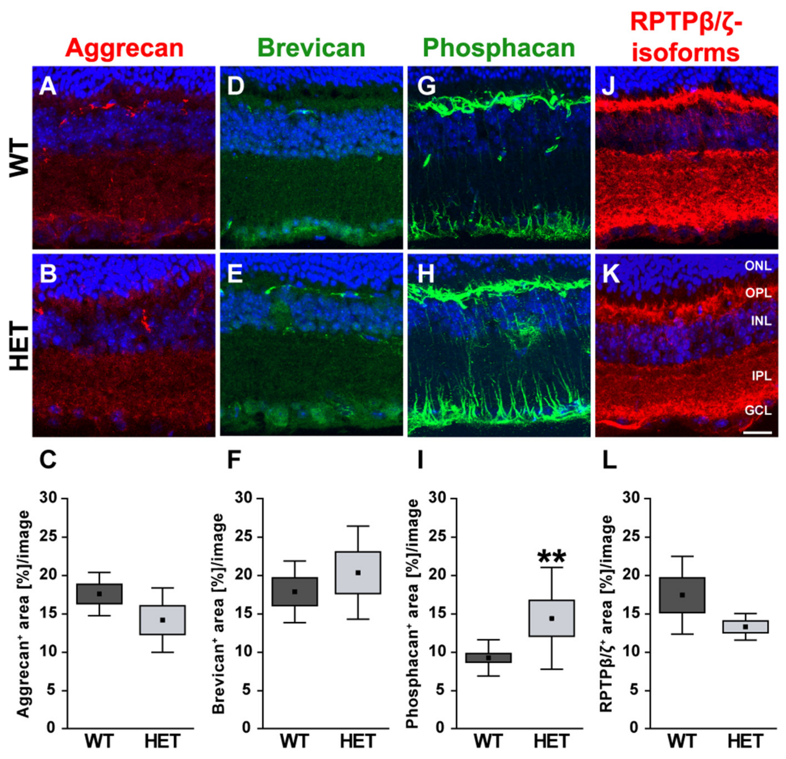 Biology 10 00169 g007 Biology 10 00169 g007