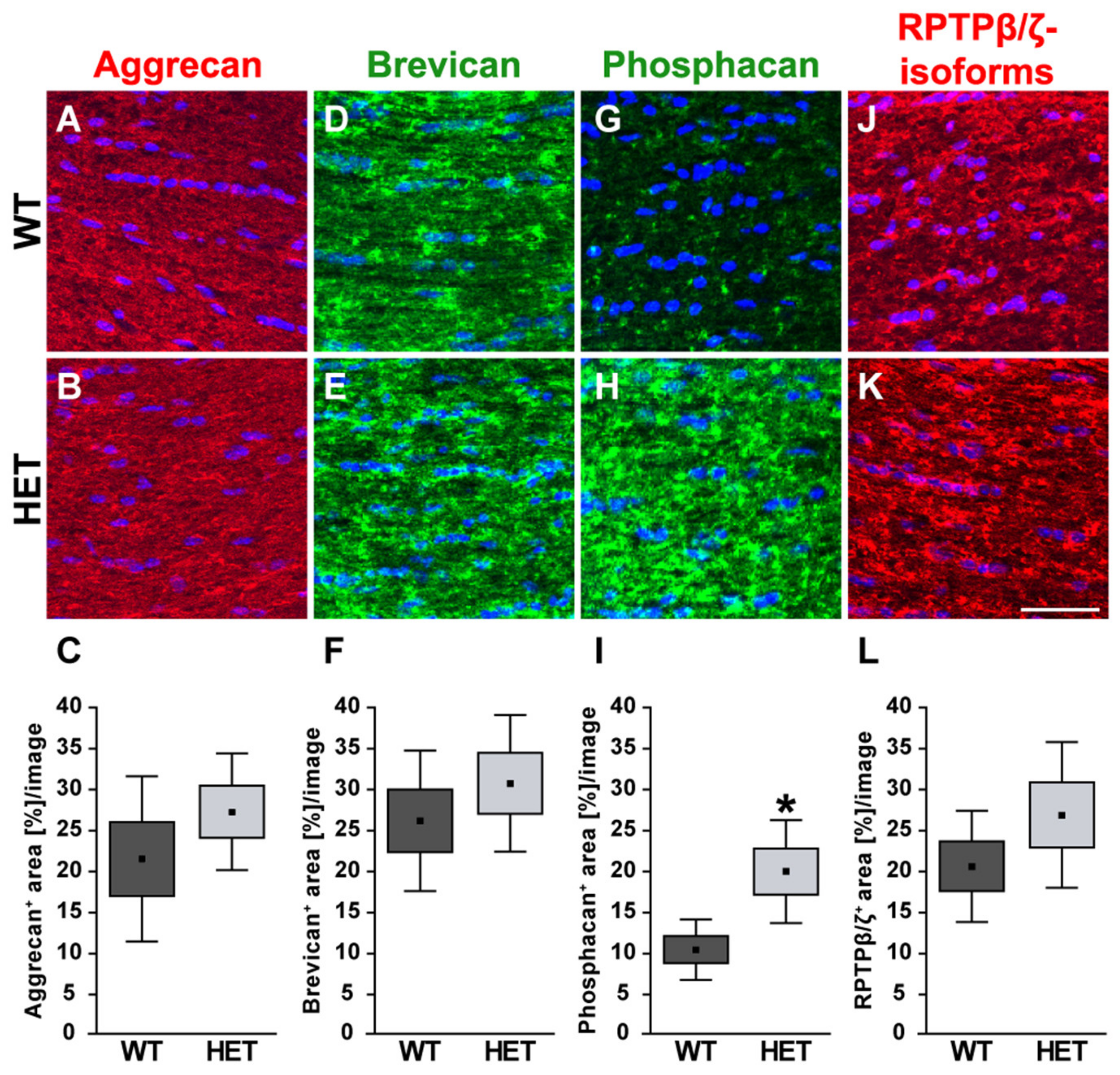 Biology 10 00169 g010 Biology 10 00169 g010