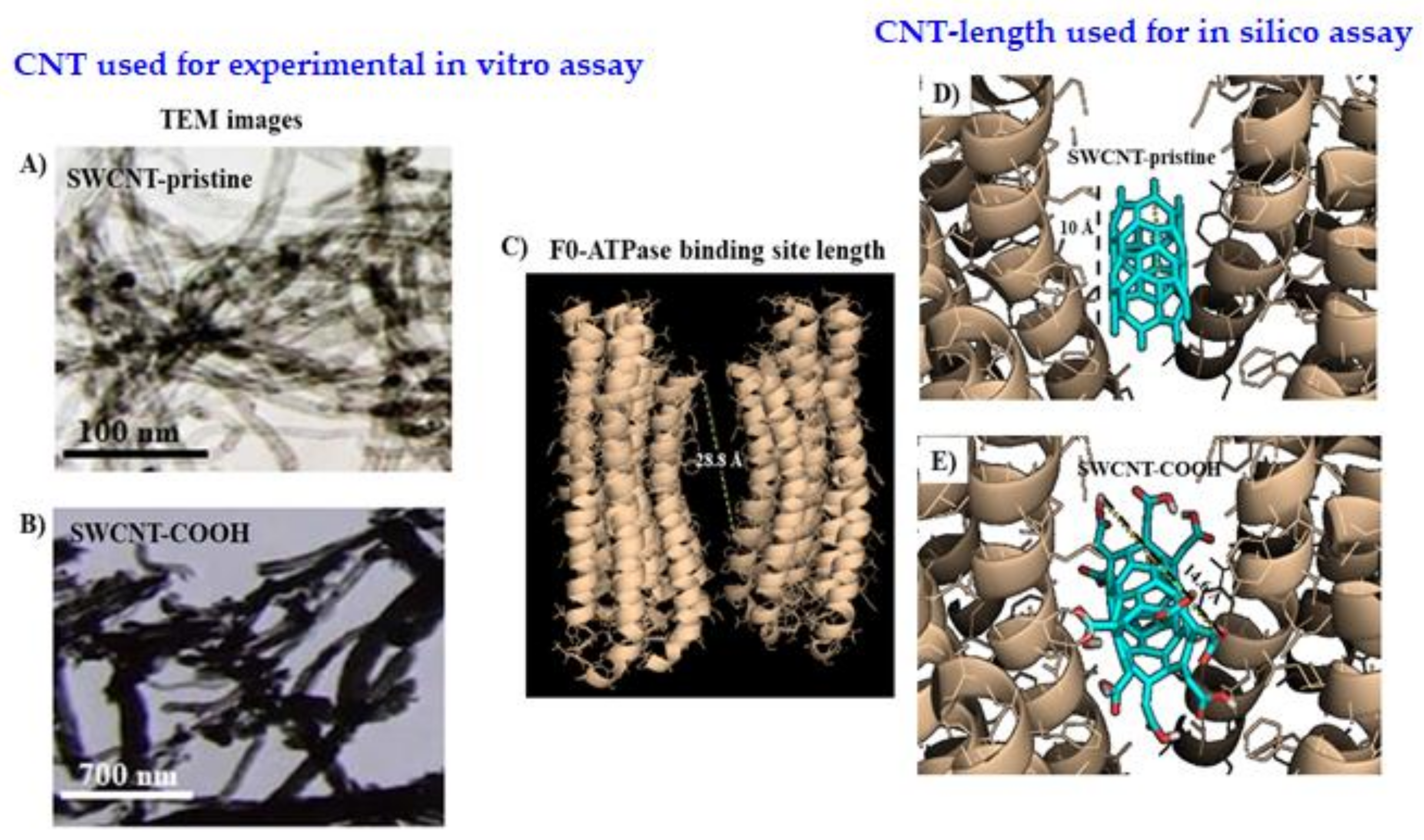 Biology 10 00171 g001 Biology 10 00171 g001