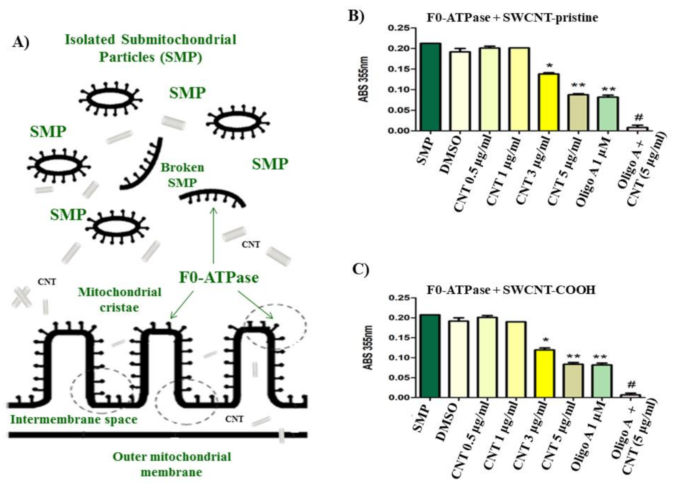 Biology 10 00171 g002 Biology 10 00171 g002