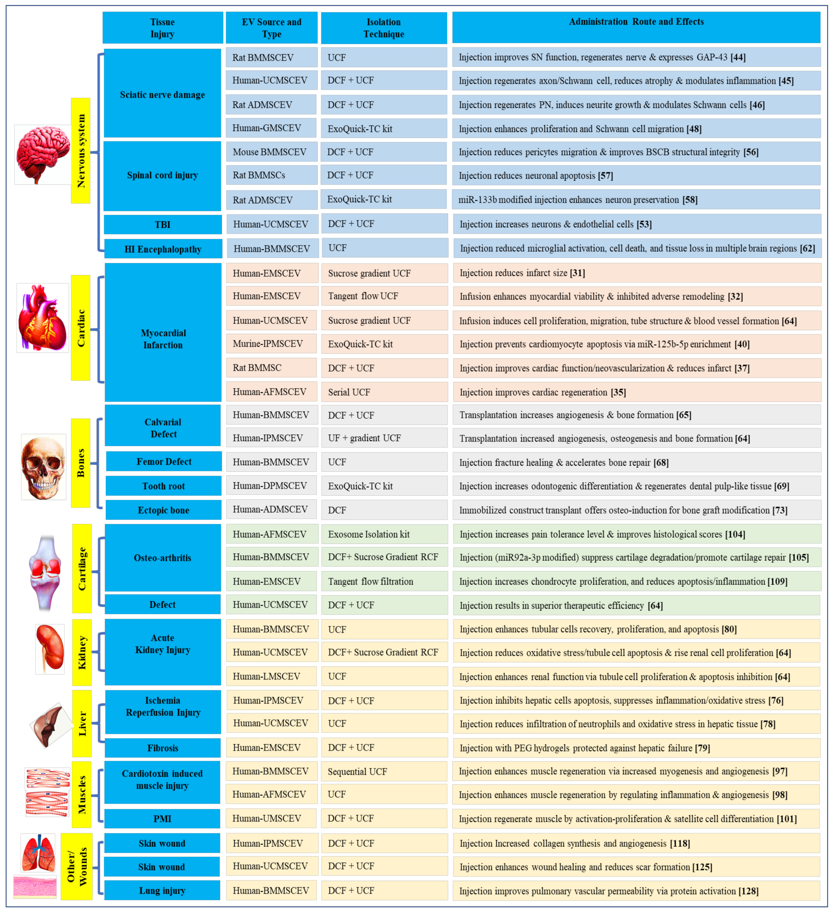 Biology 10 00172 g001