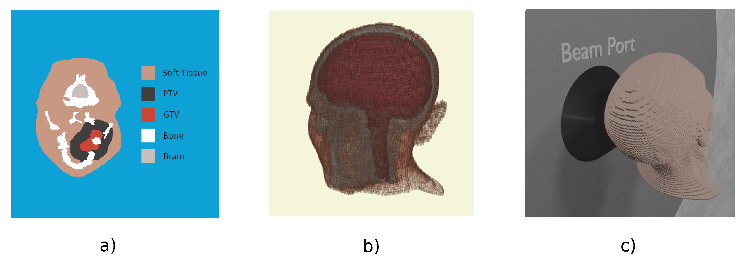 Biology 10 00174 g003 Biology 10 00174 g003