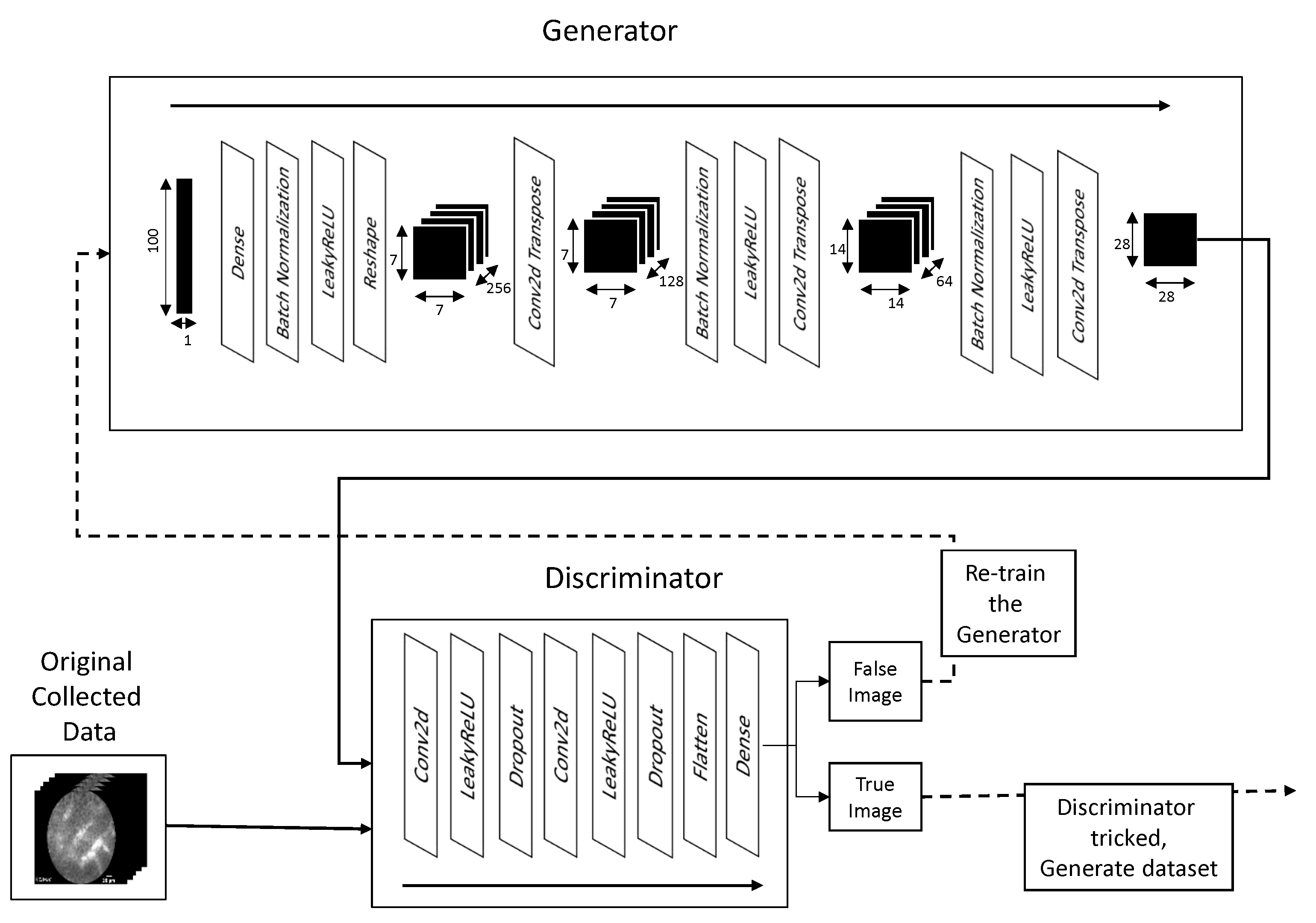 Biology 10 00175 g004 550