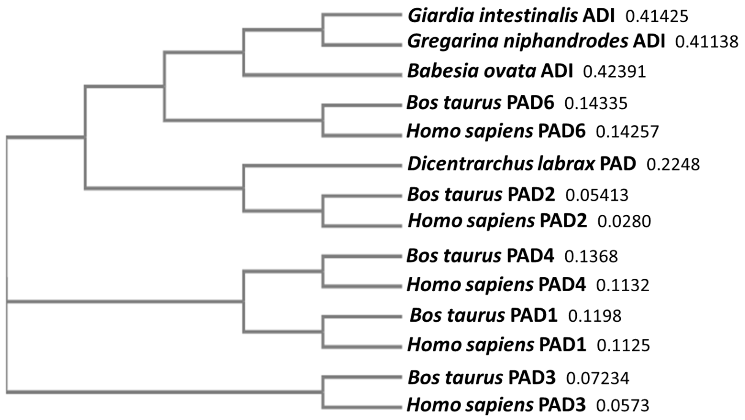Biology 10 00177 g002 Biology 10 00177 g002