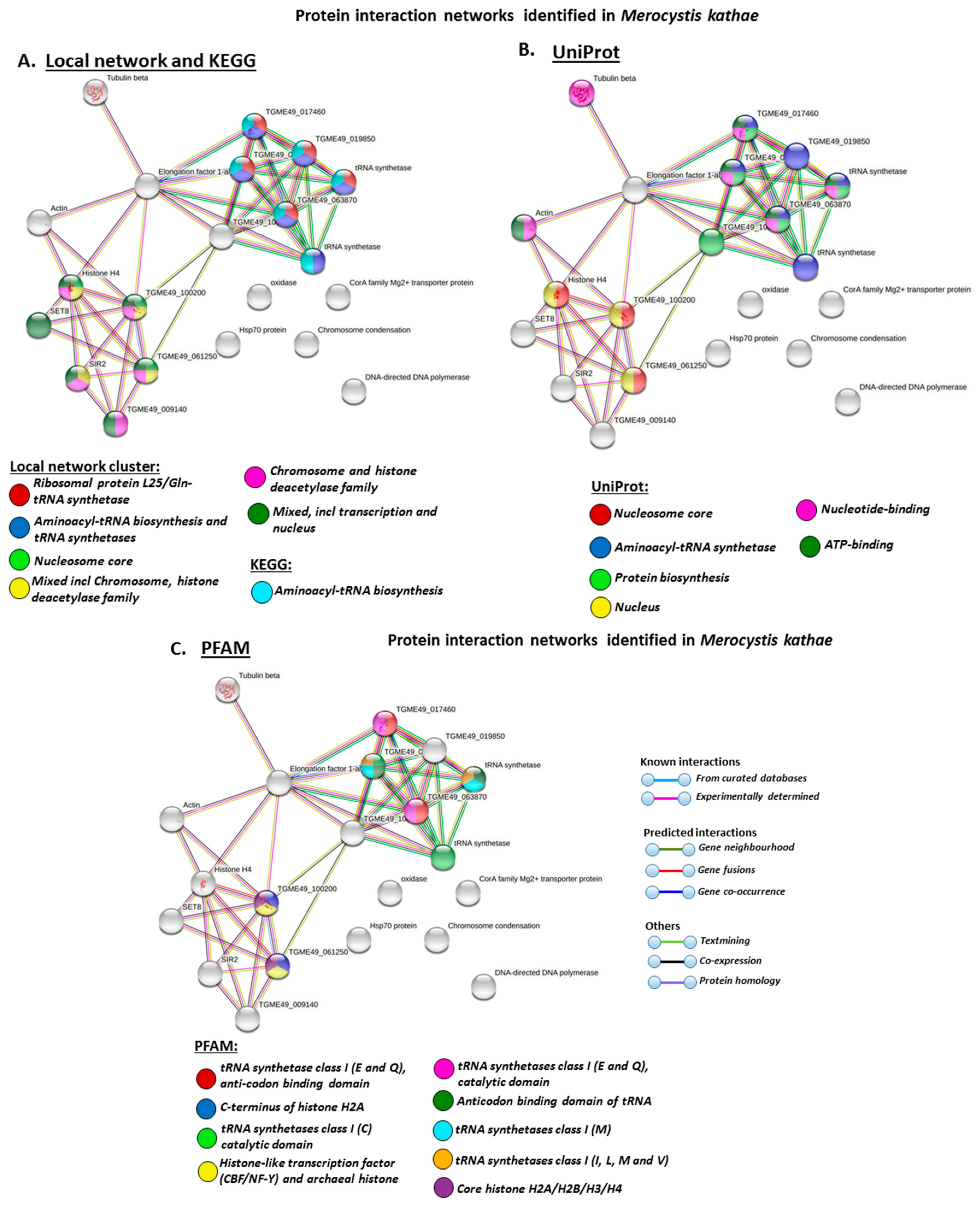 Biology 10 00177 g008a Biology 10 00177 g008a