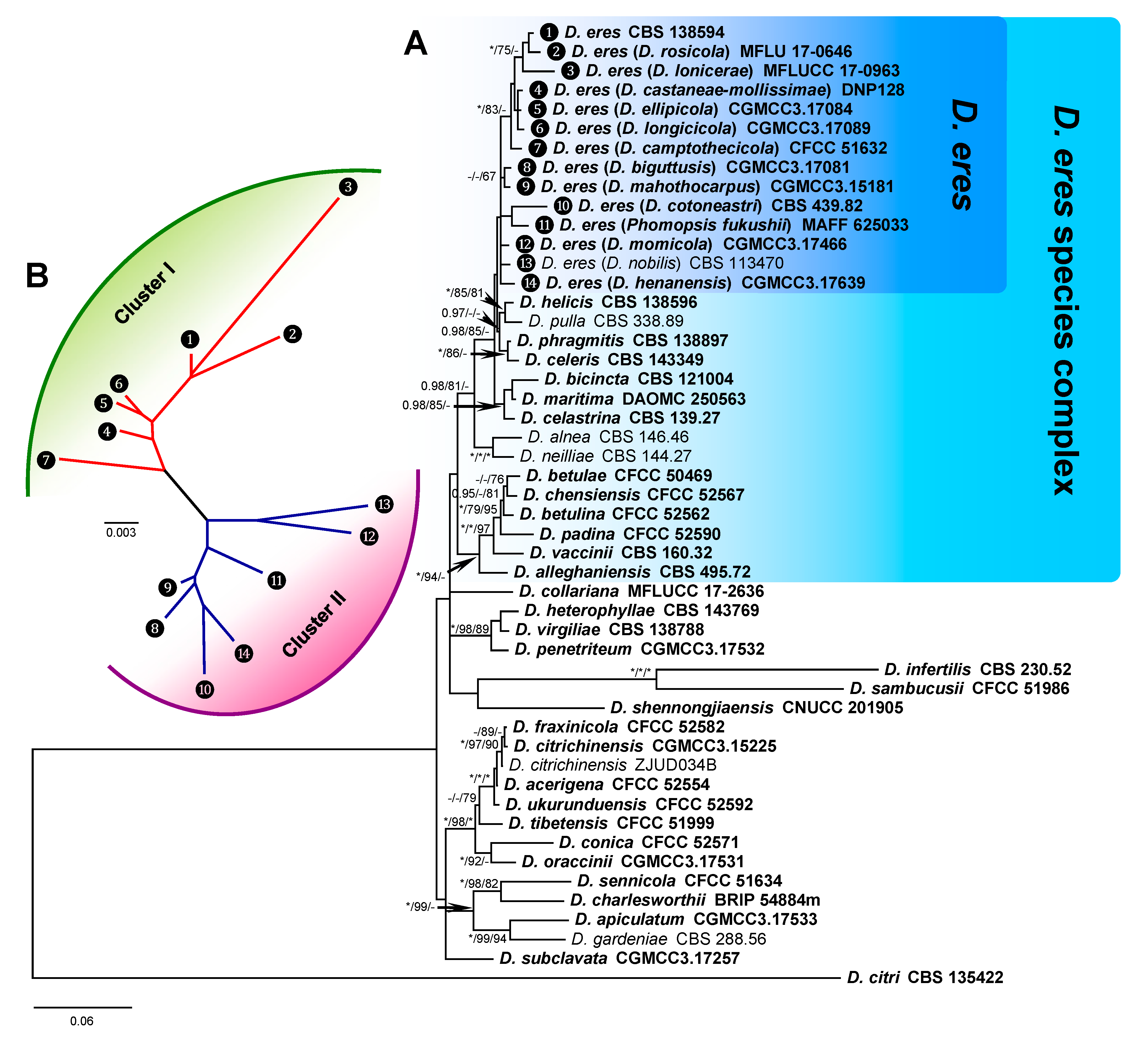 Biology 10 00179 g002