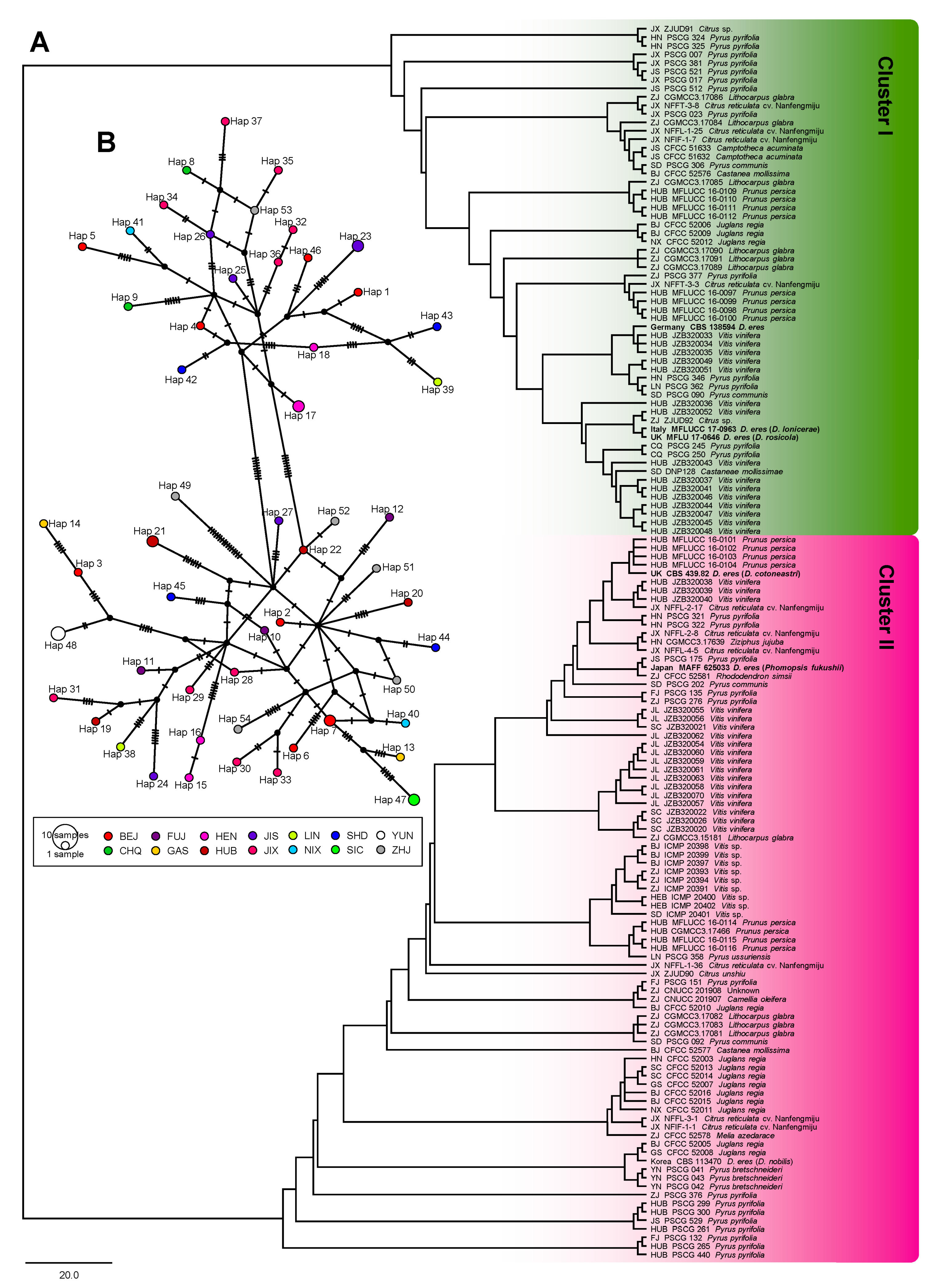 Biology 10 00179 g004