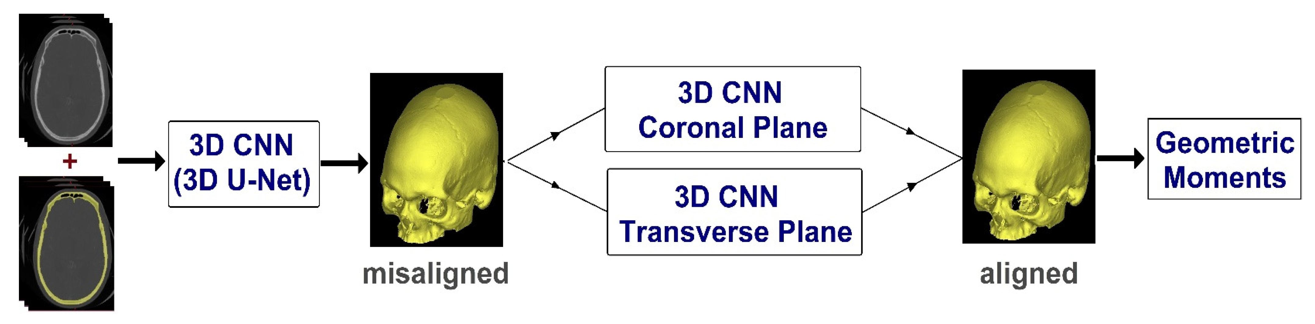 Biology 10 00182 g001 Biology 10 00182 g001