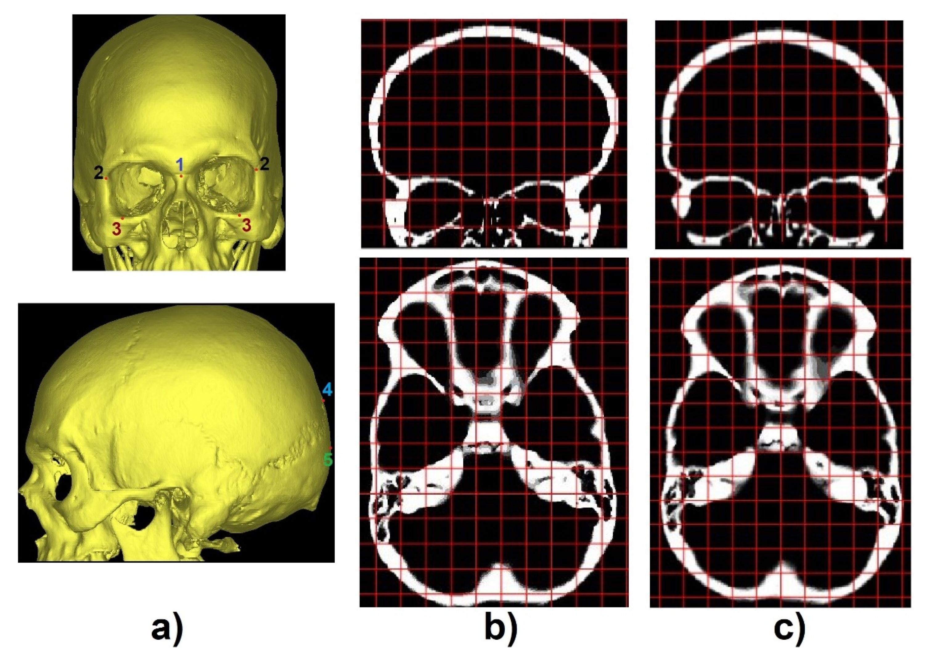 Biology 10 00182 g004 Biology 10 00182 g004