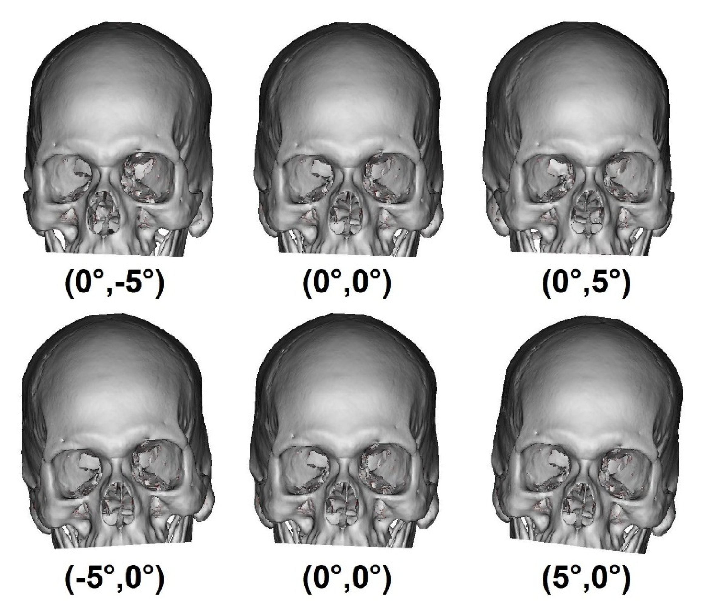 Biology 10 00182 g005 Biology 10 00182 g005