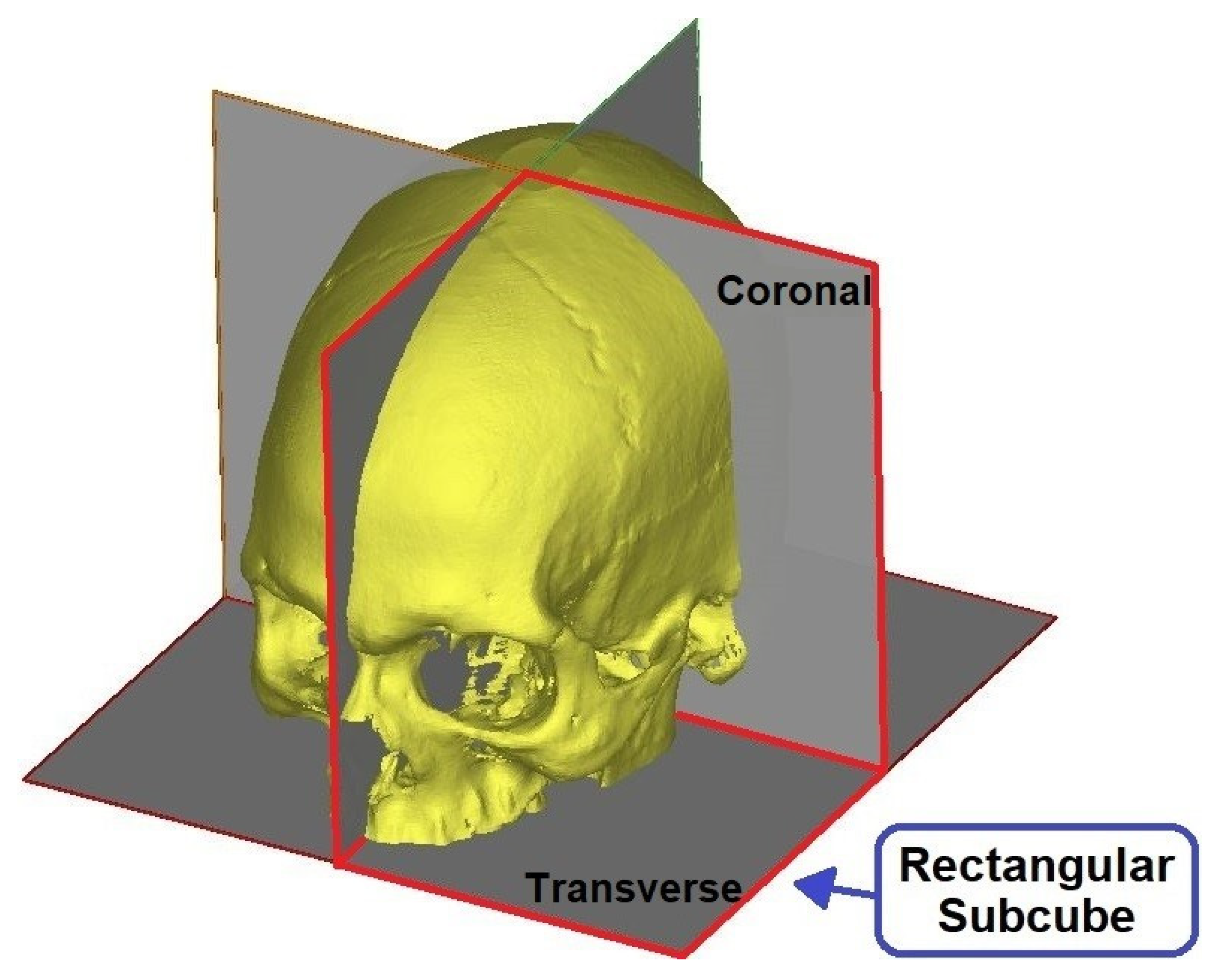 Biology 10 00182 g006 Biology 10 00182 g006