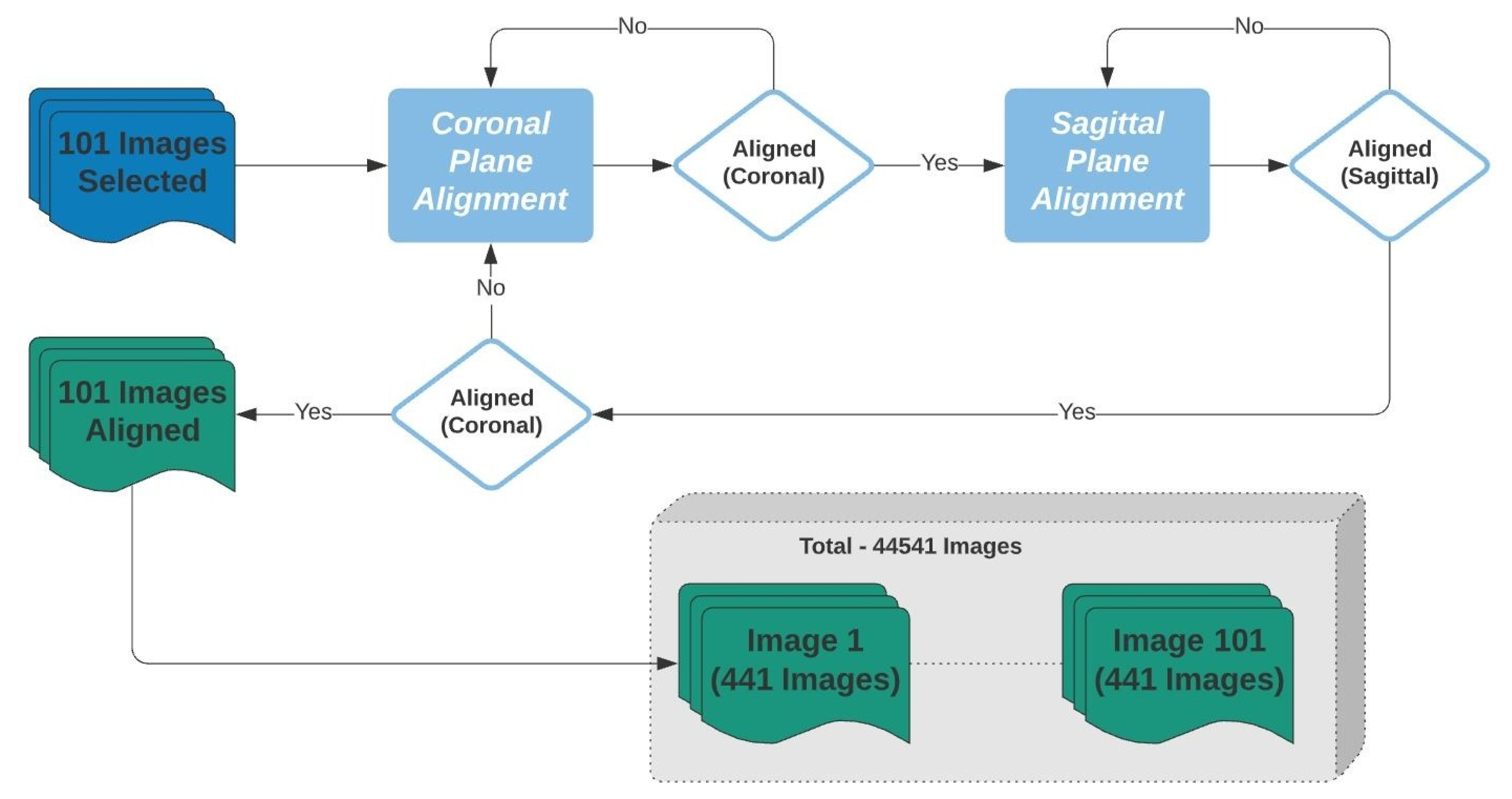 Biology 10 00182 g007 Biology 10 00182 g007