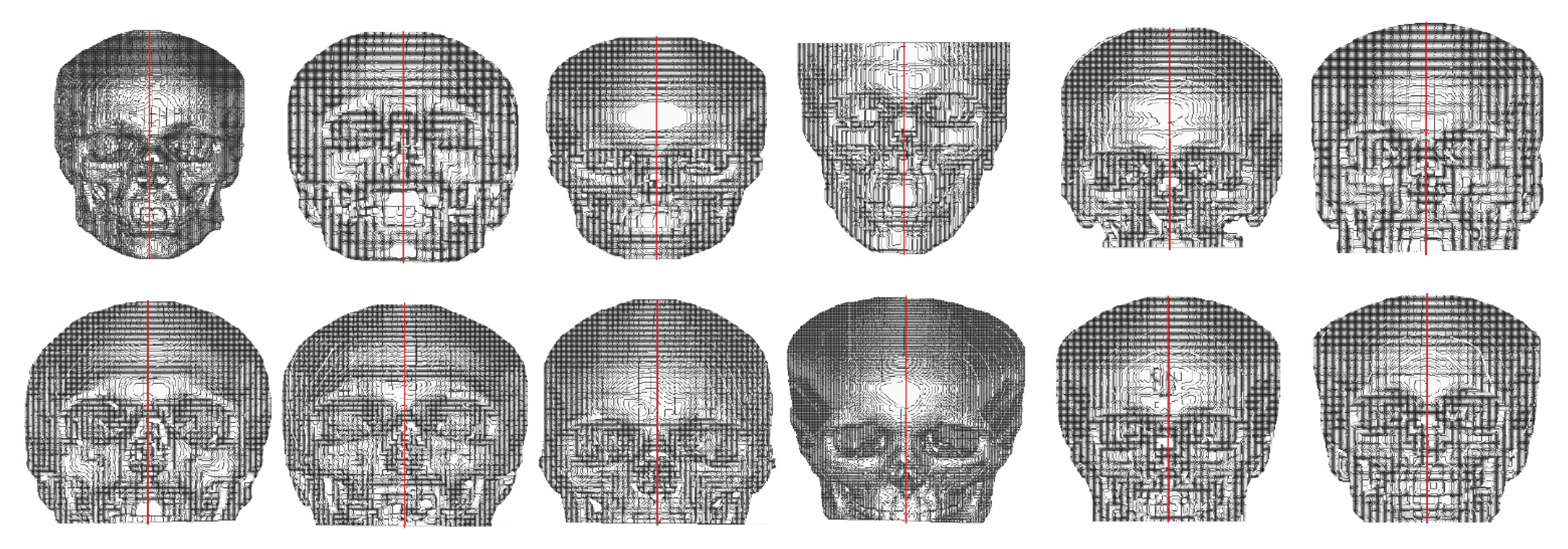 Biology 10 00182 g008 Biology 10 00182 g008