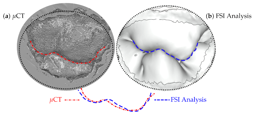 Biology 10 00185 g003