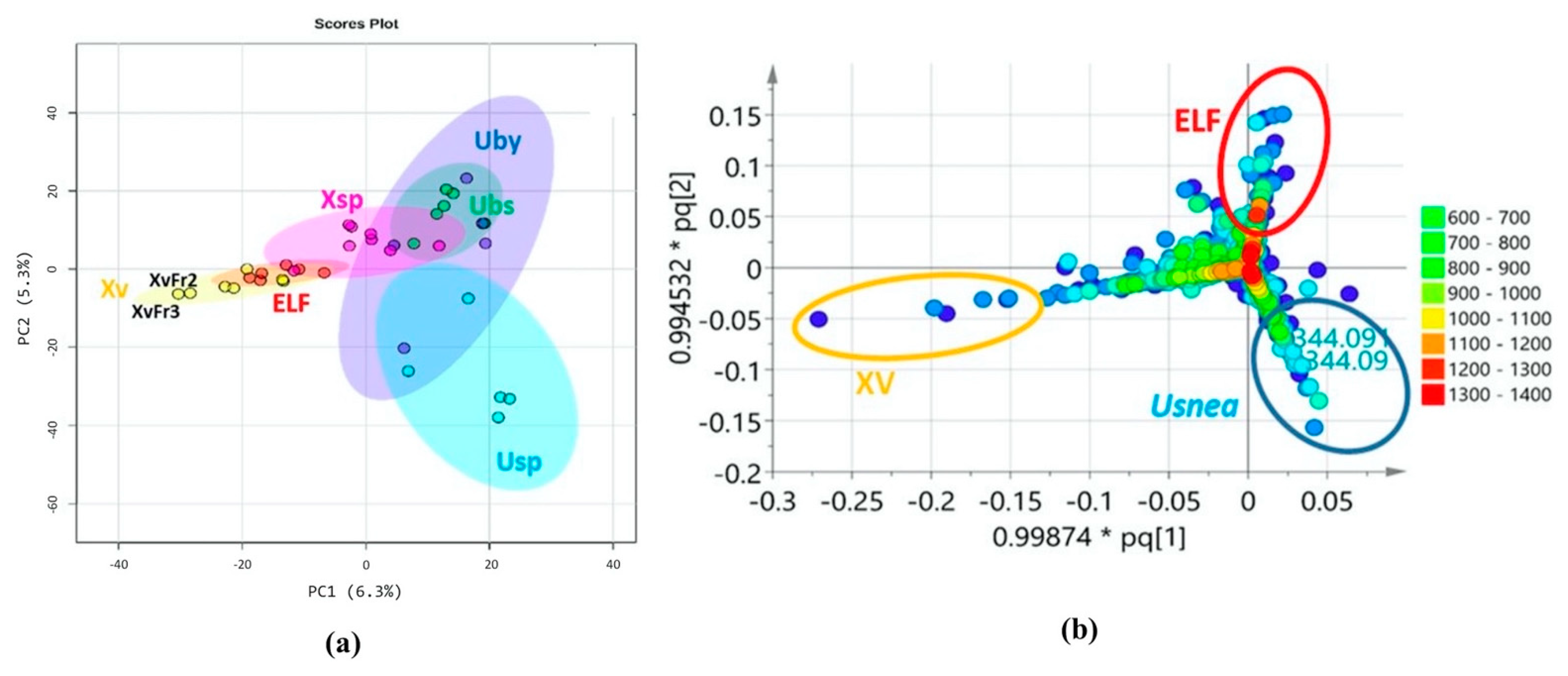 Biology 10 00191 g003 Biology 10 00191 g003