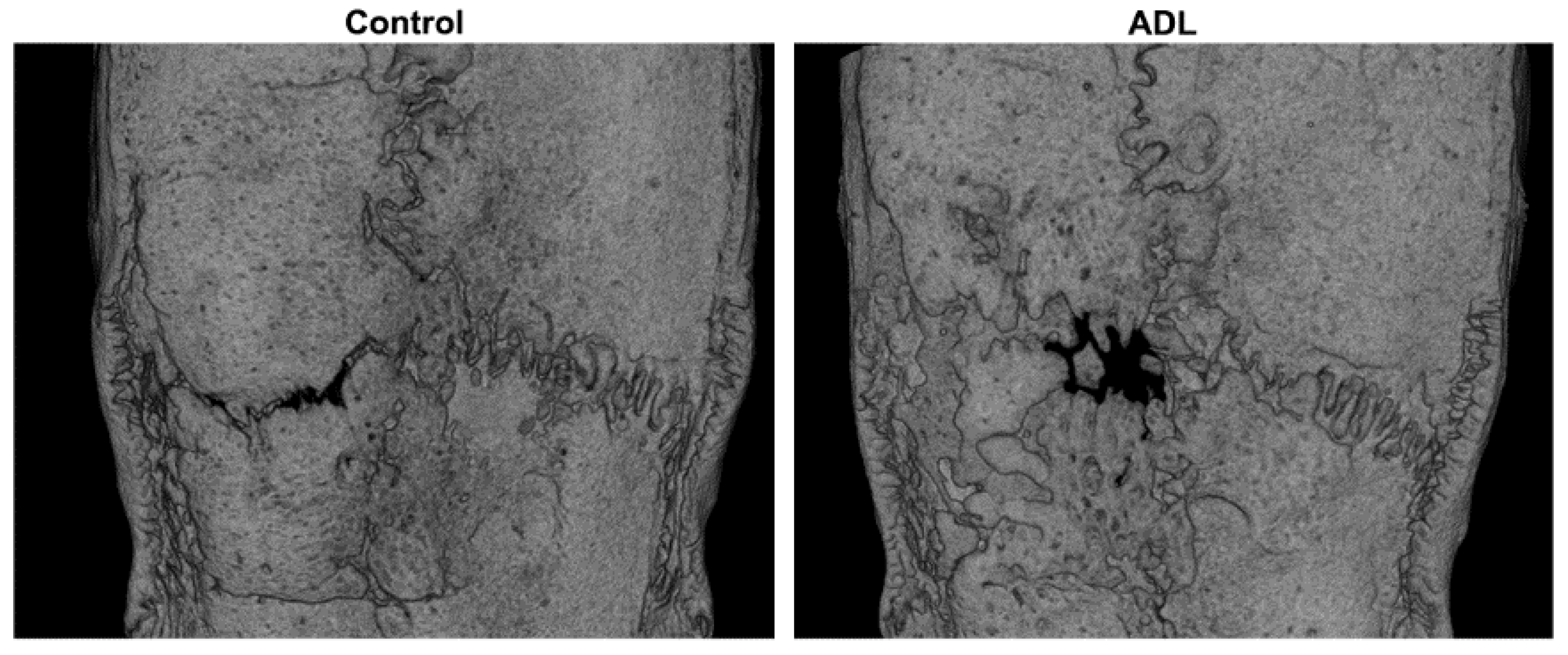 Biology 10 00196 g001 Biology 10 00196 g001