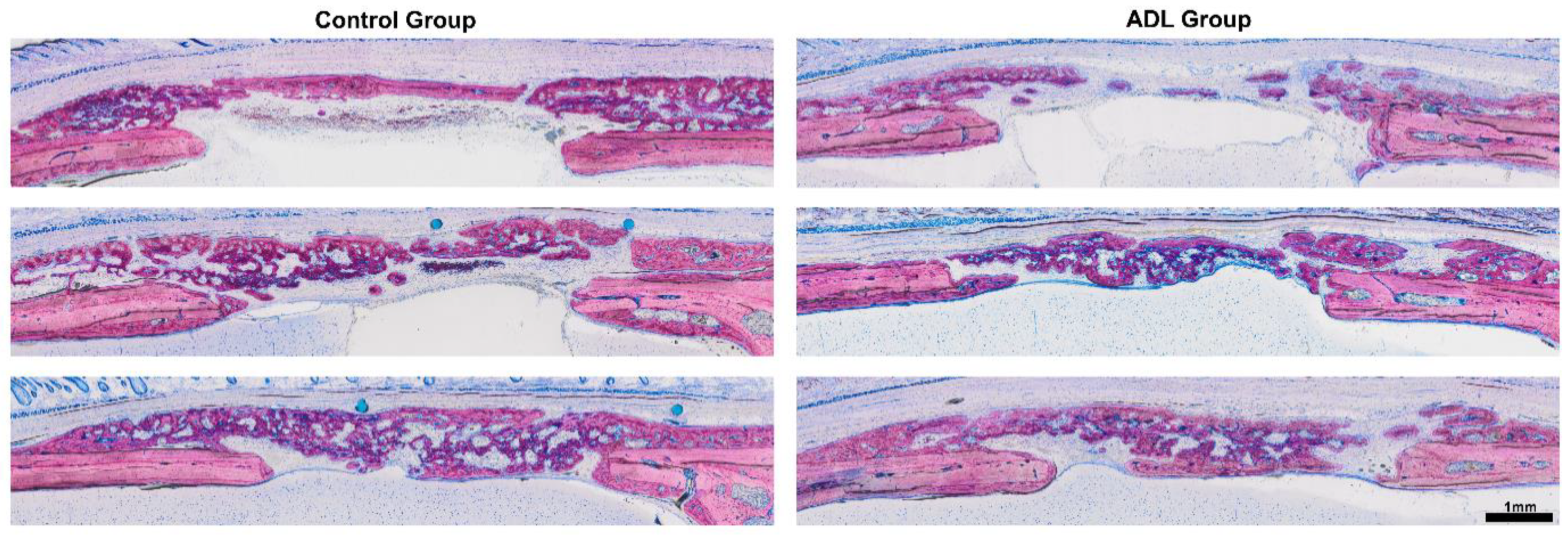 Biology 10 00196 g003 Biology 10 00196 g003