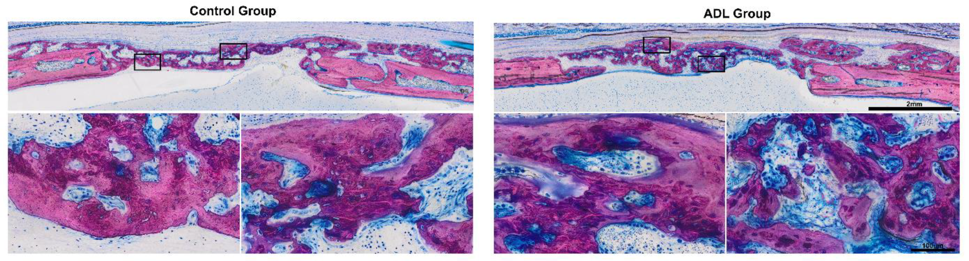 Biology 10 00196 g005 Biology 10 00196 g005