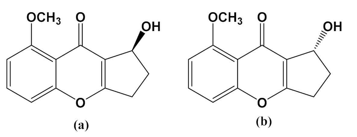 Biology 10 00199 g001 Biology 10 00199 g001