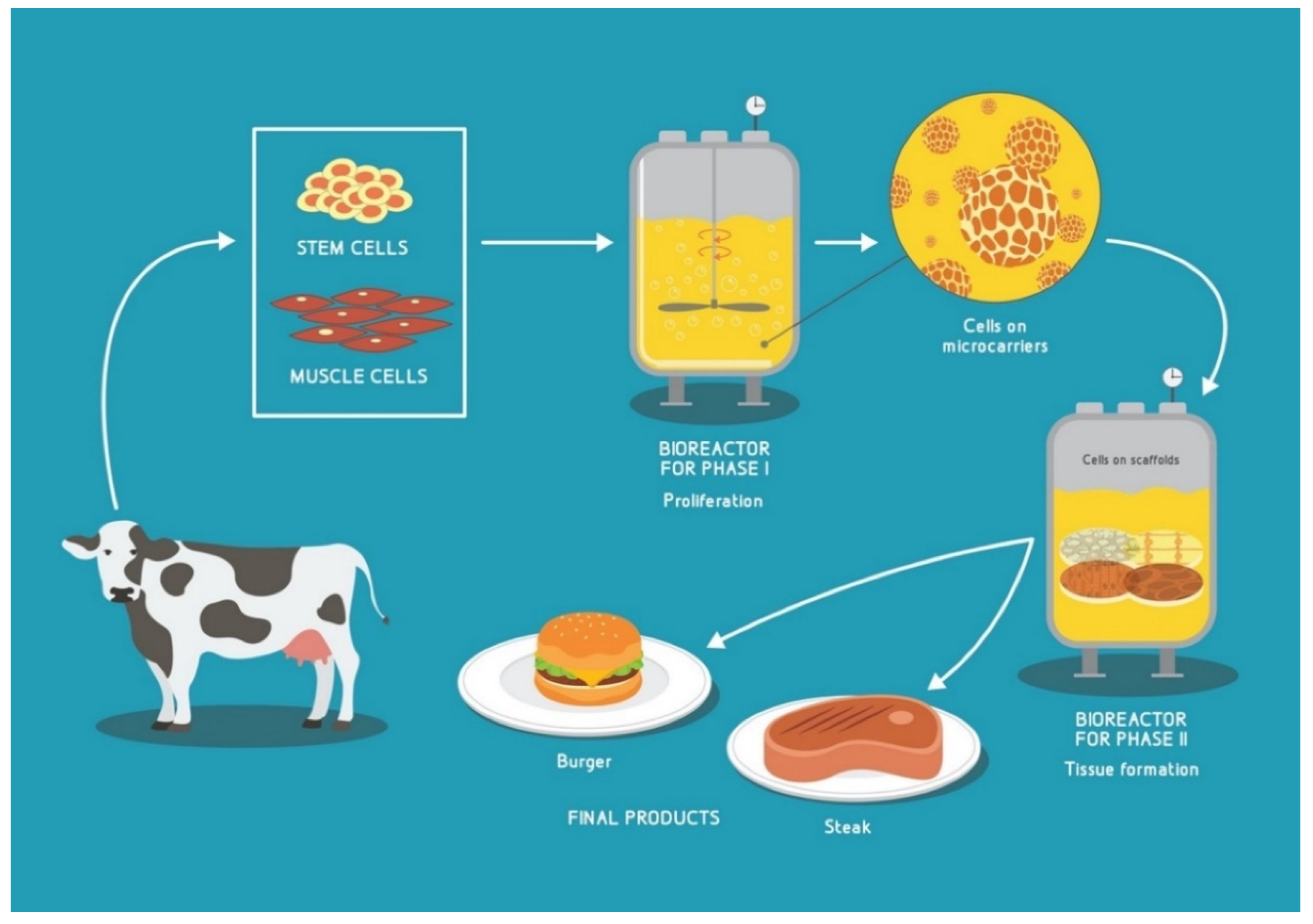 Biology 10 00204 g001 Biology 10 00204 g001