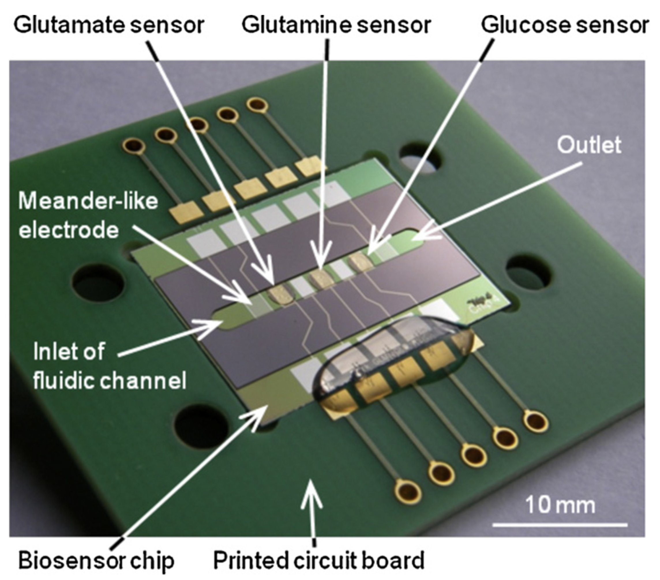 Biology 10 00204 g003 Biology 10 00204 g003