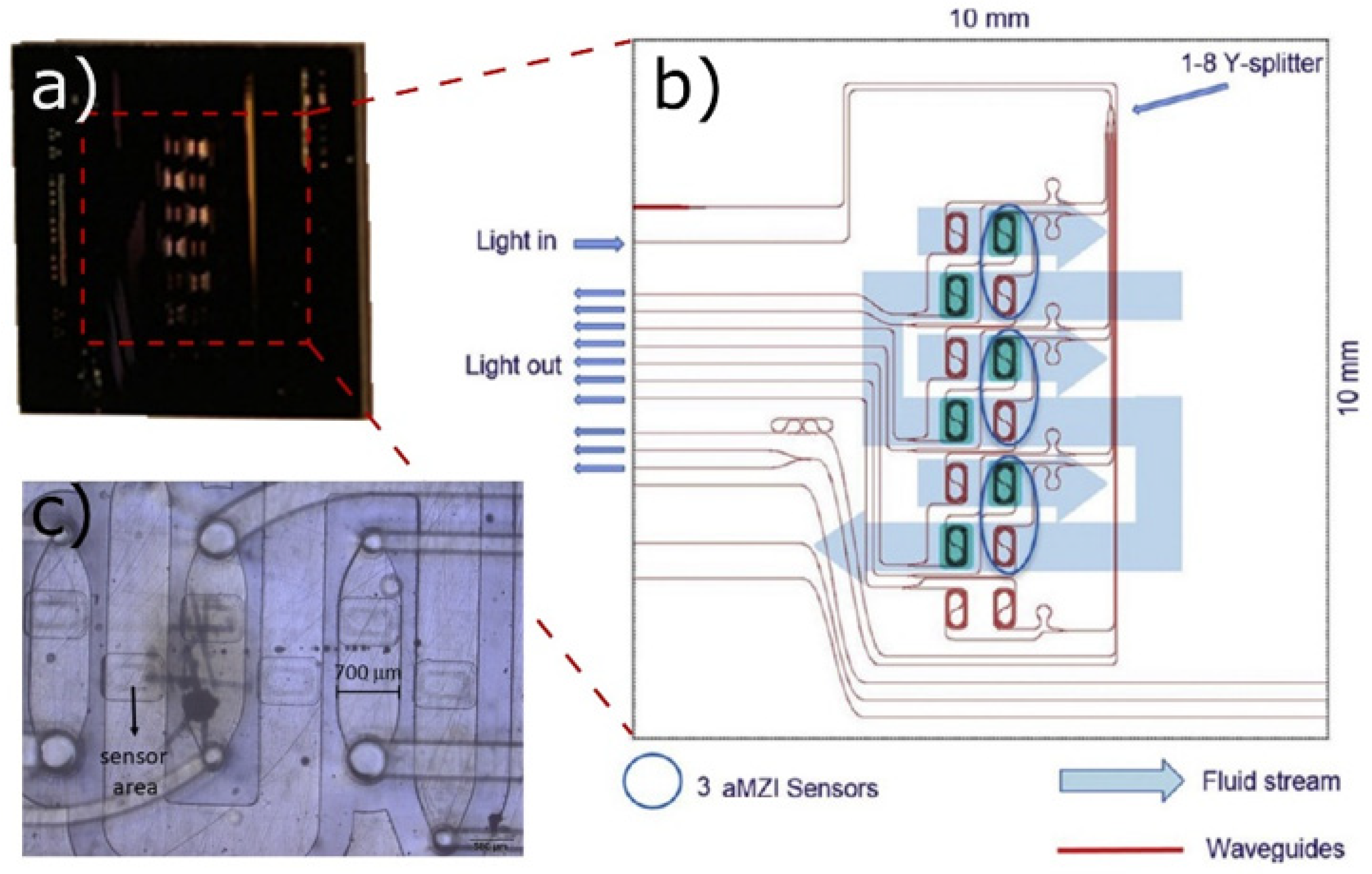 Biology 10 00204 g005 Biology 10 00204 g005
