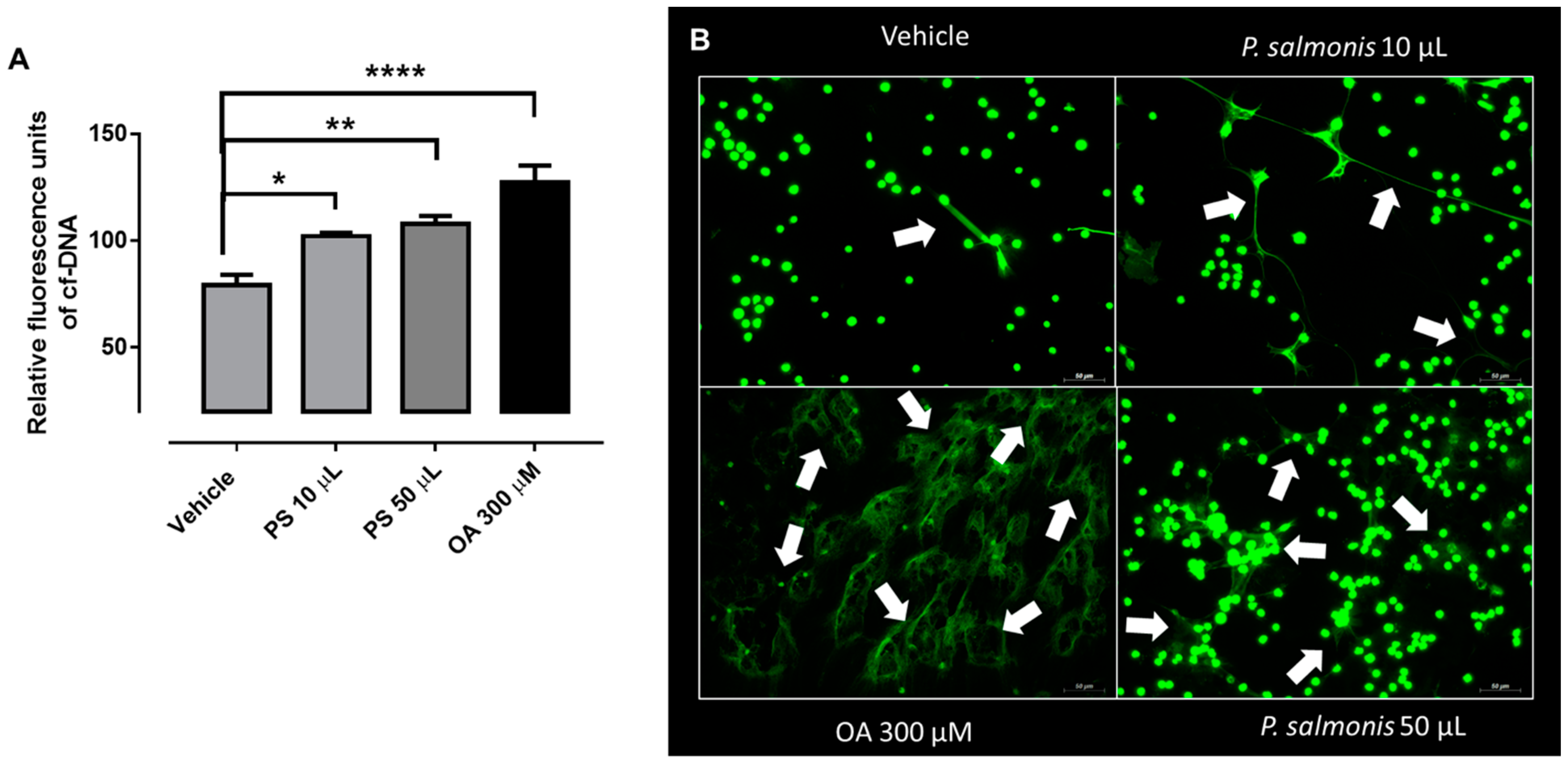 Biology 10 00206 g002 Biology 10 00206 g002
