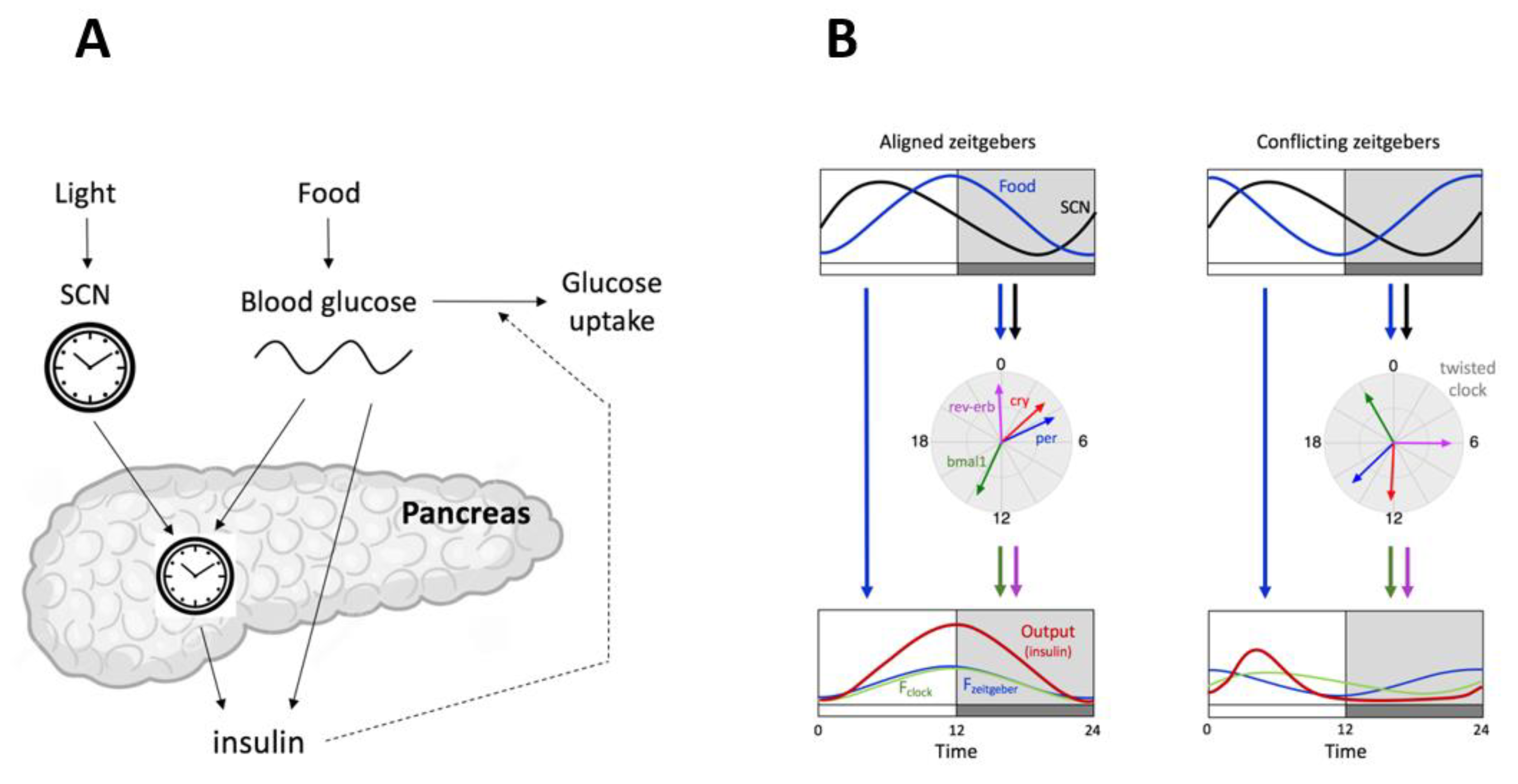 Biology 10 00207 g003 Biology 10 00207 g003