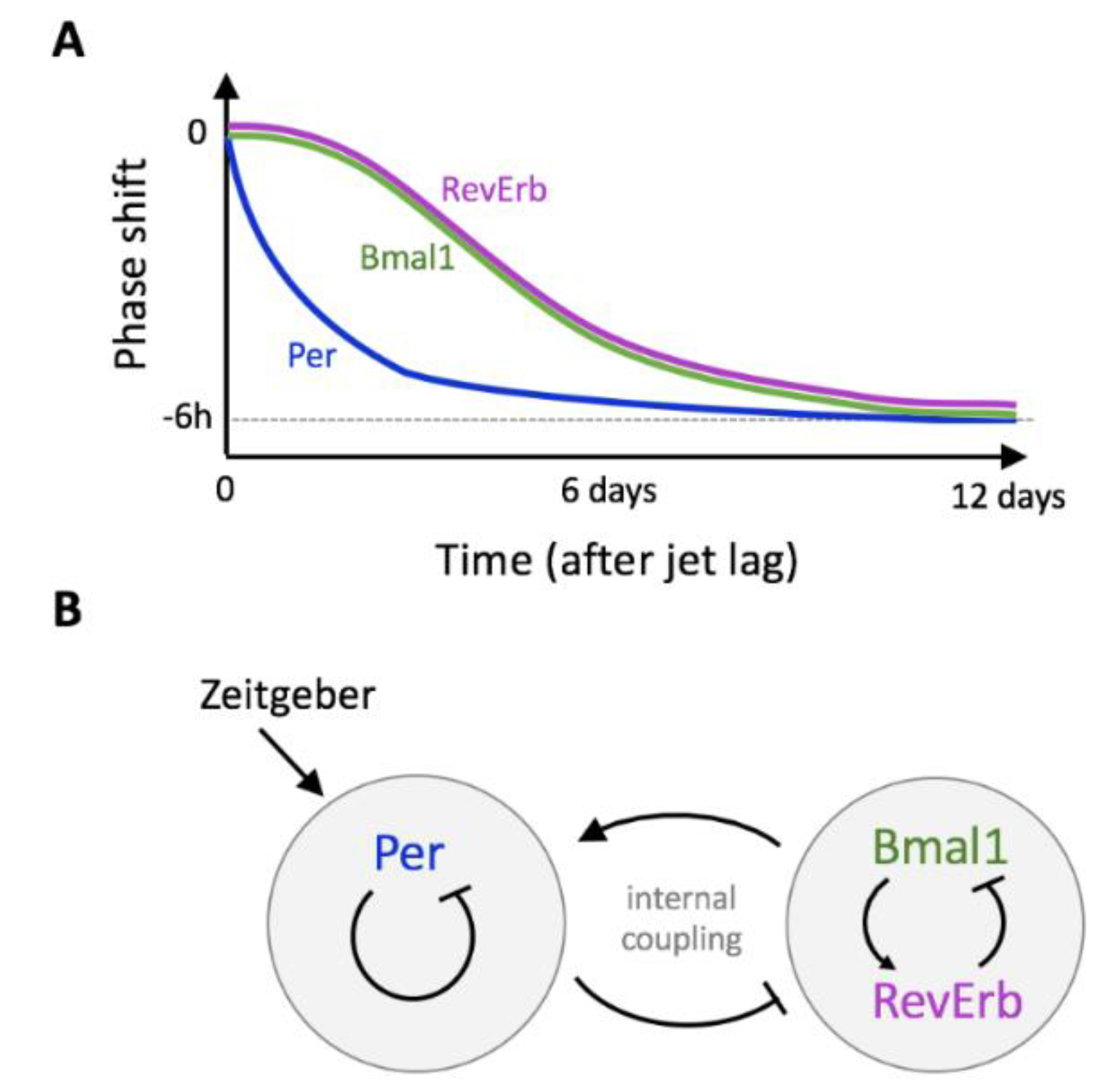 Biology 10 00207 g004