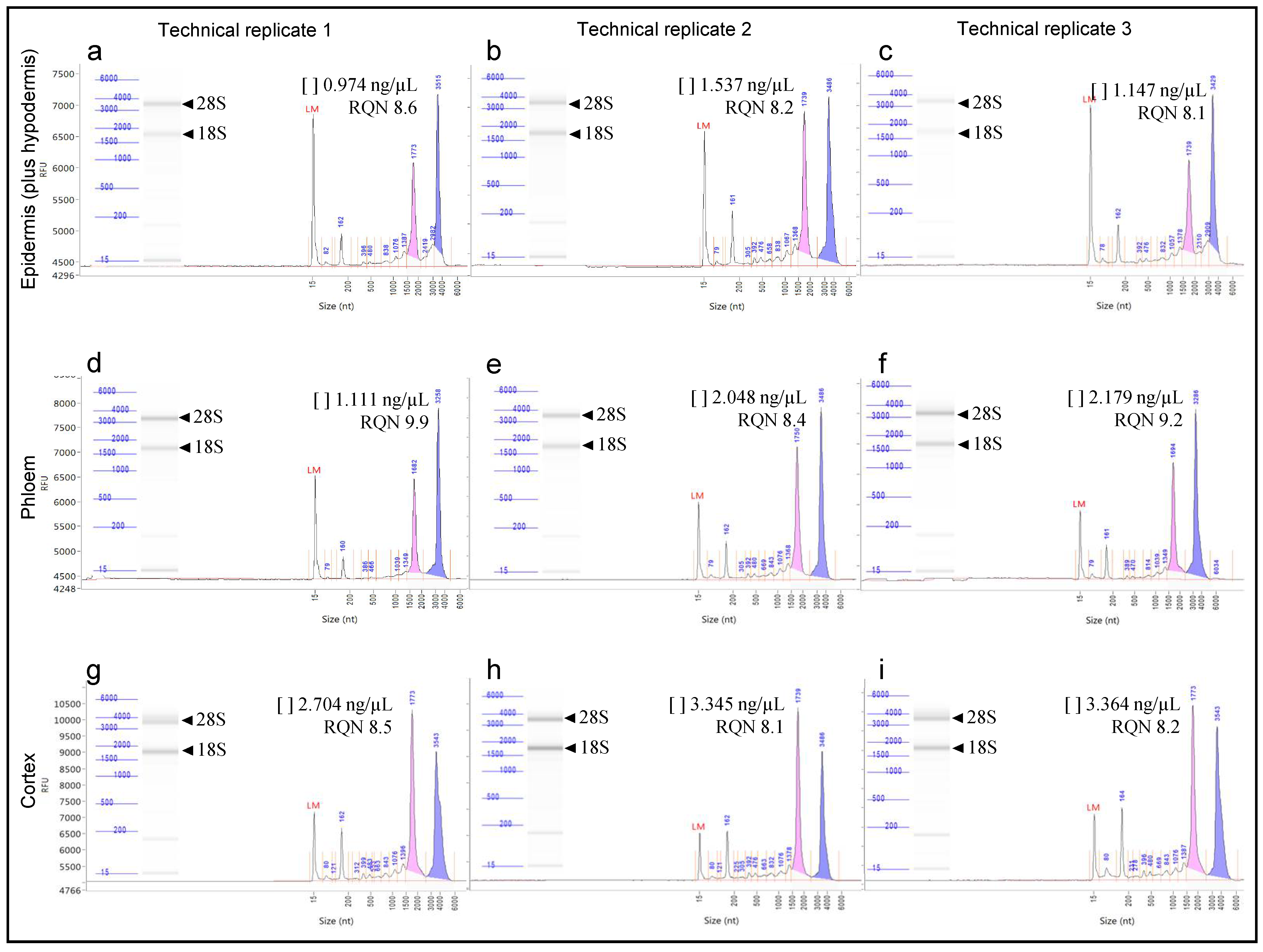 Biology 10 00209 g004 Biology 10 00209 g004