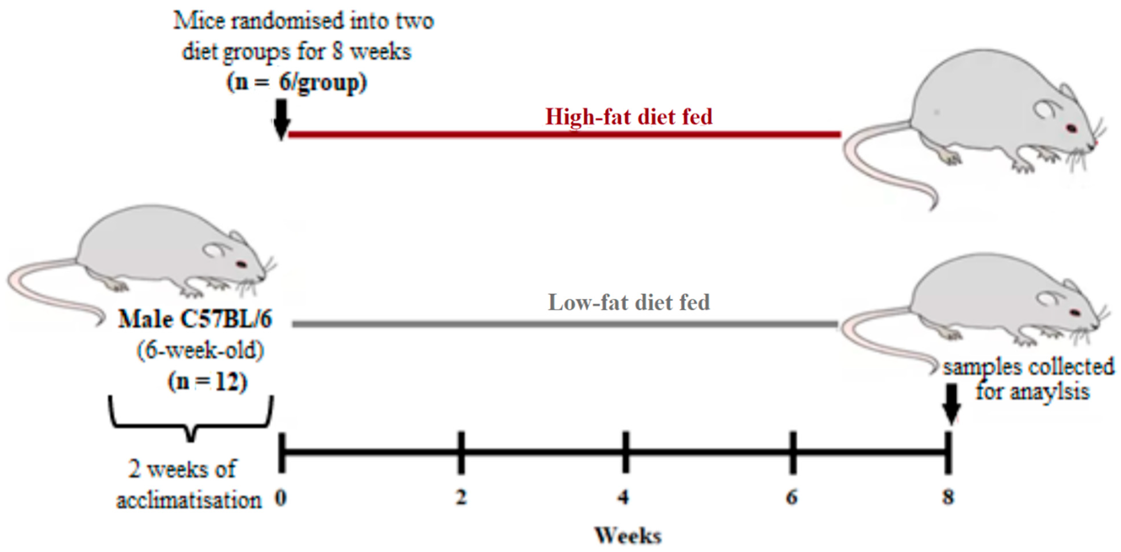 Biology 10 00217 g001 Biology 10 00217 g001