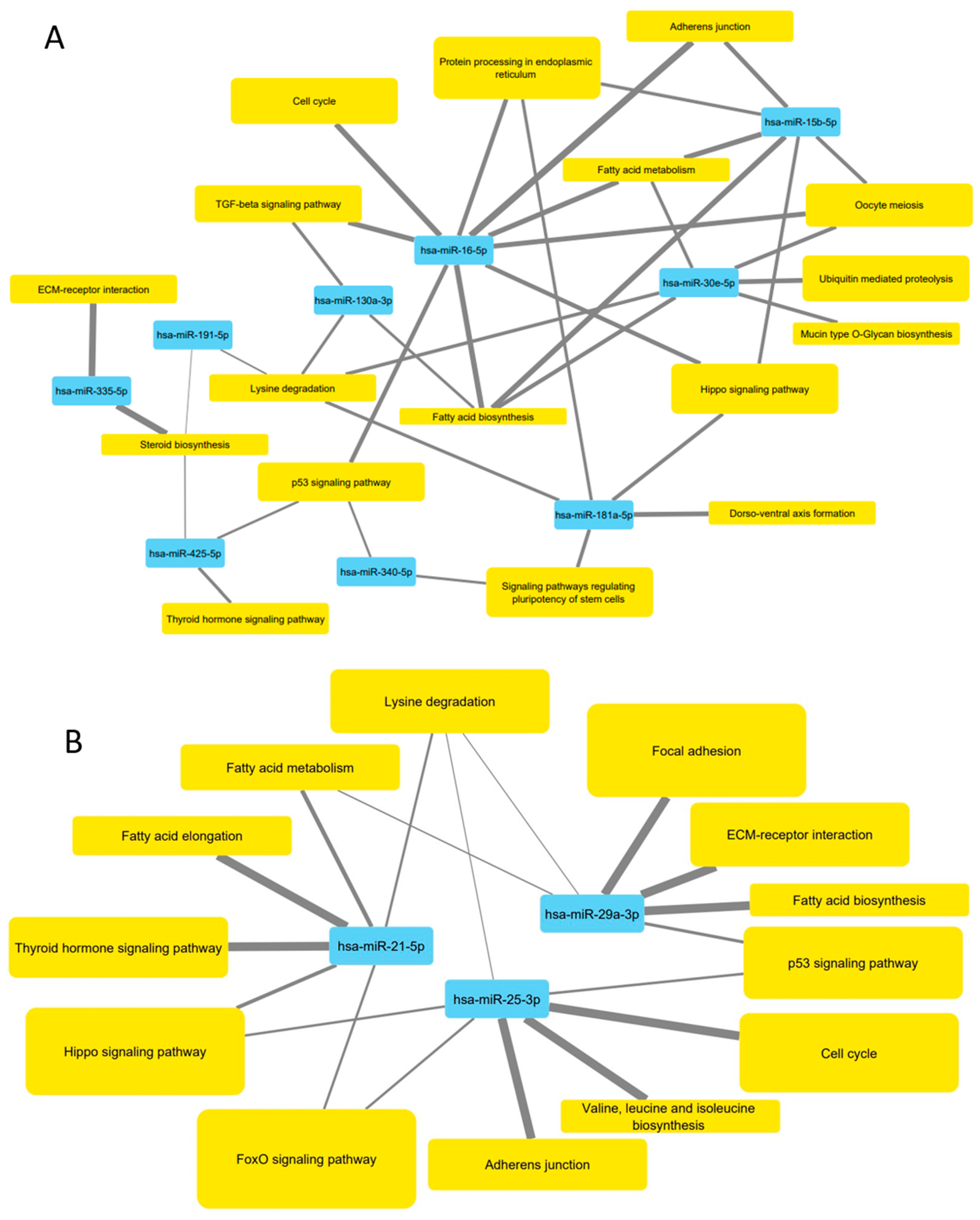Biology 10 00218 g008 Biology 10 00218 g008