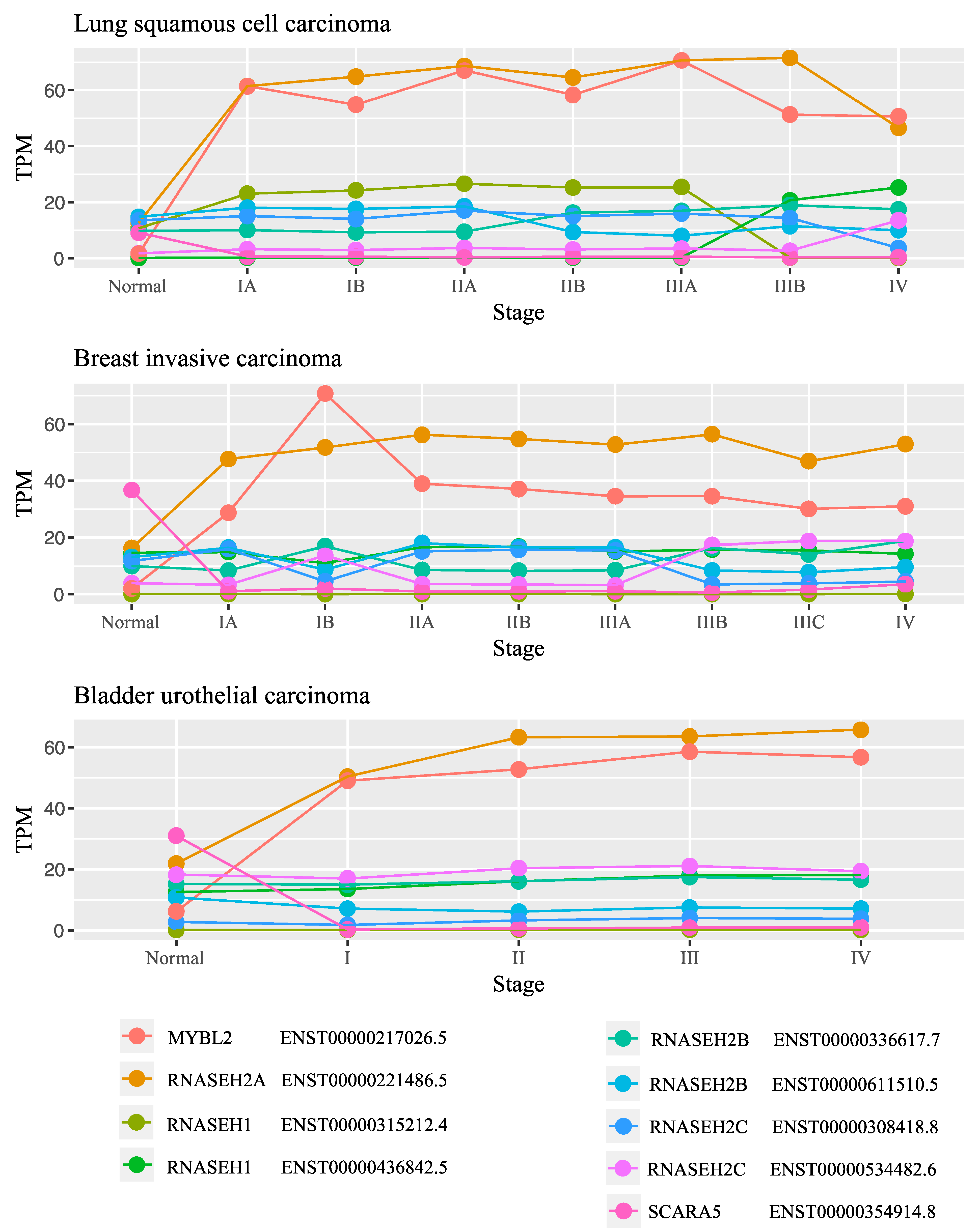 Biology 10 00221 g003 Biology 10 00221 g003